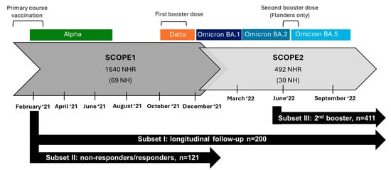 Vaccines 13 00409 g001