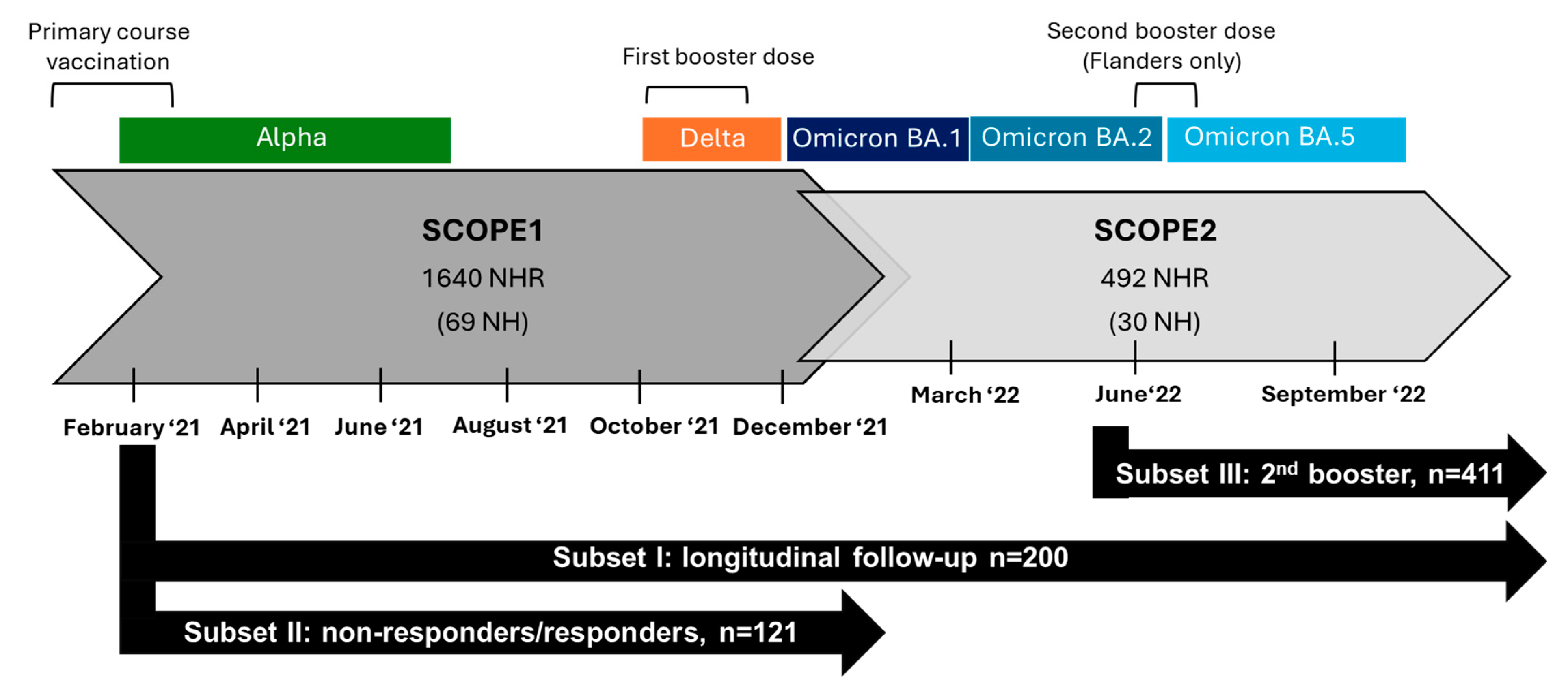 Vaccines 13 00409 g001