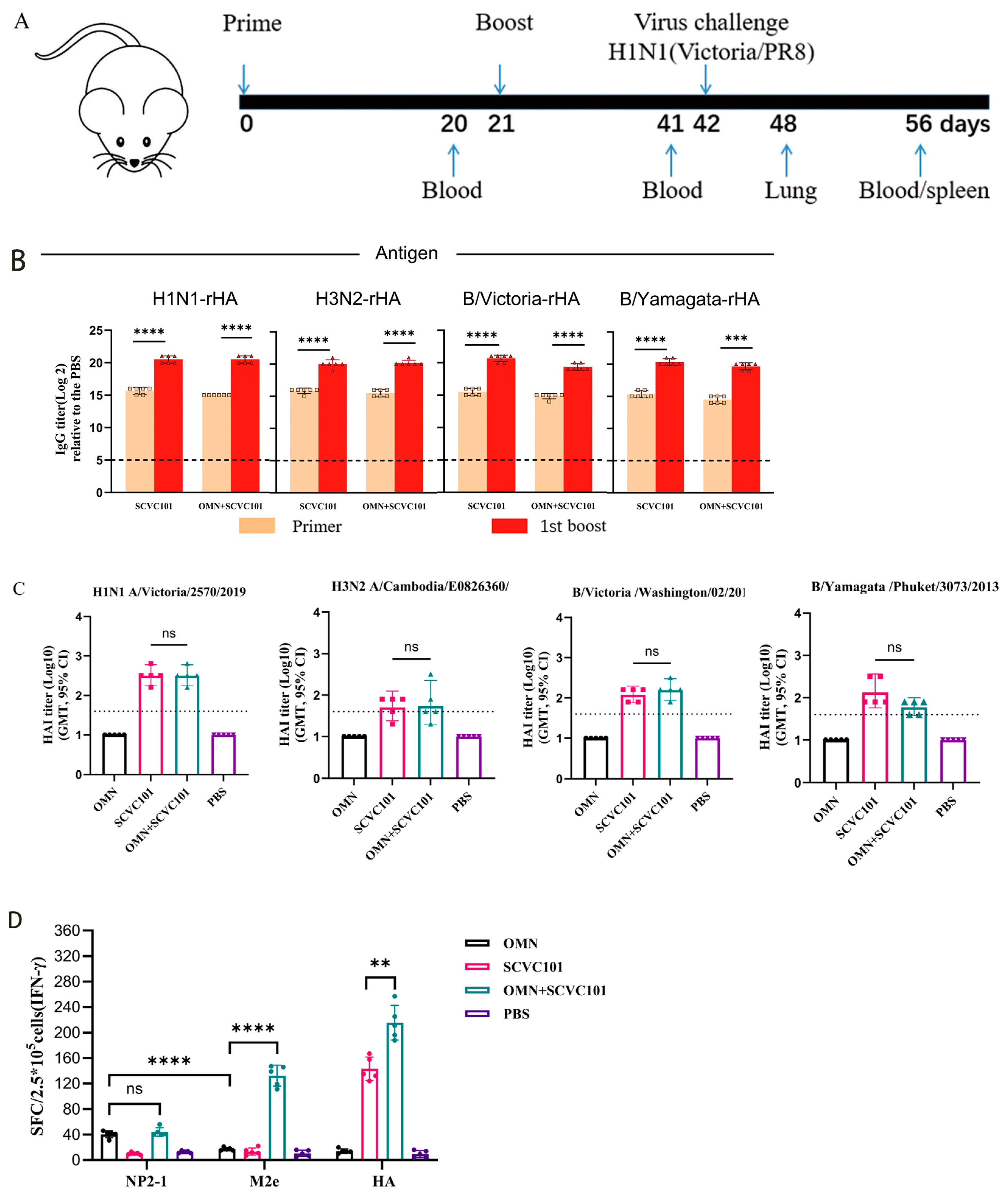Vaccines 13 00412 g004a