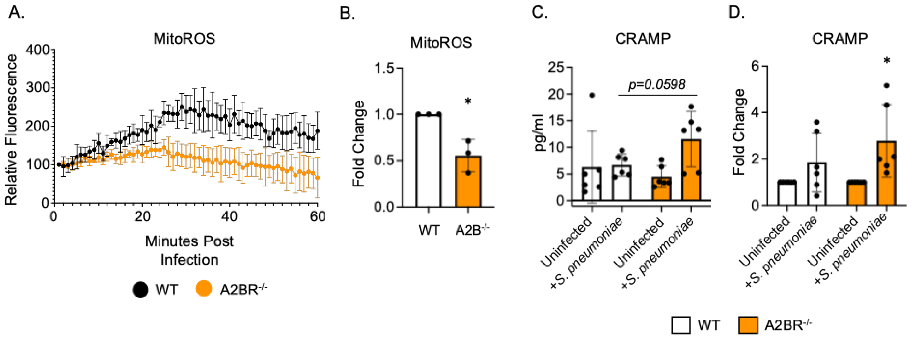 Vaccines 13 00414 g004