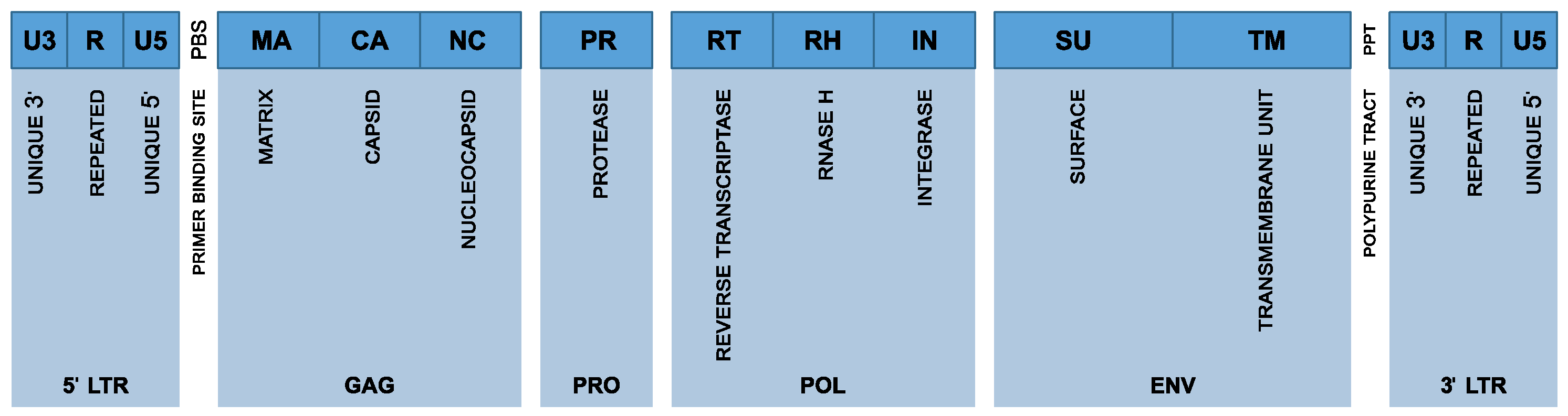 Vaccines 13 00415 g001