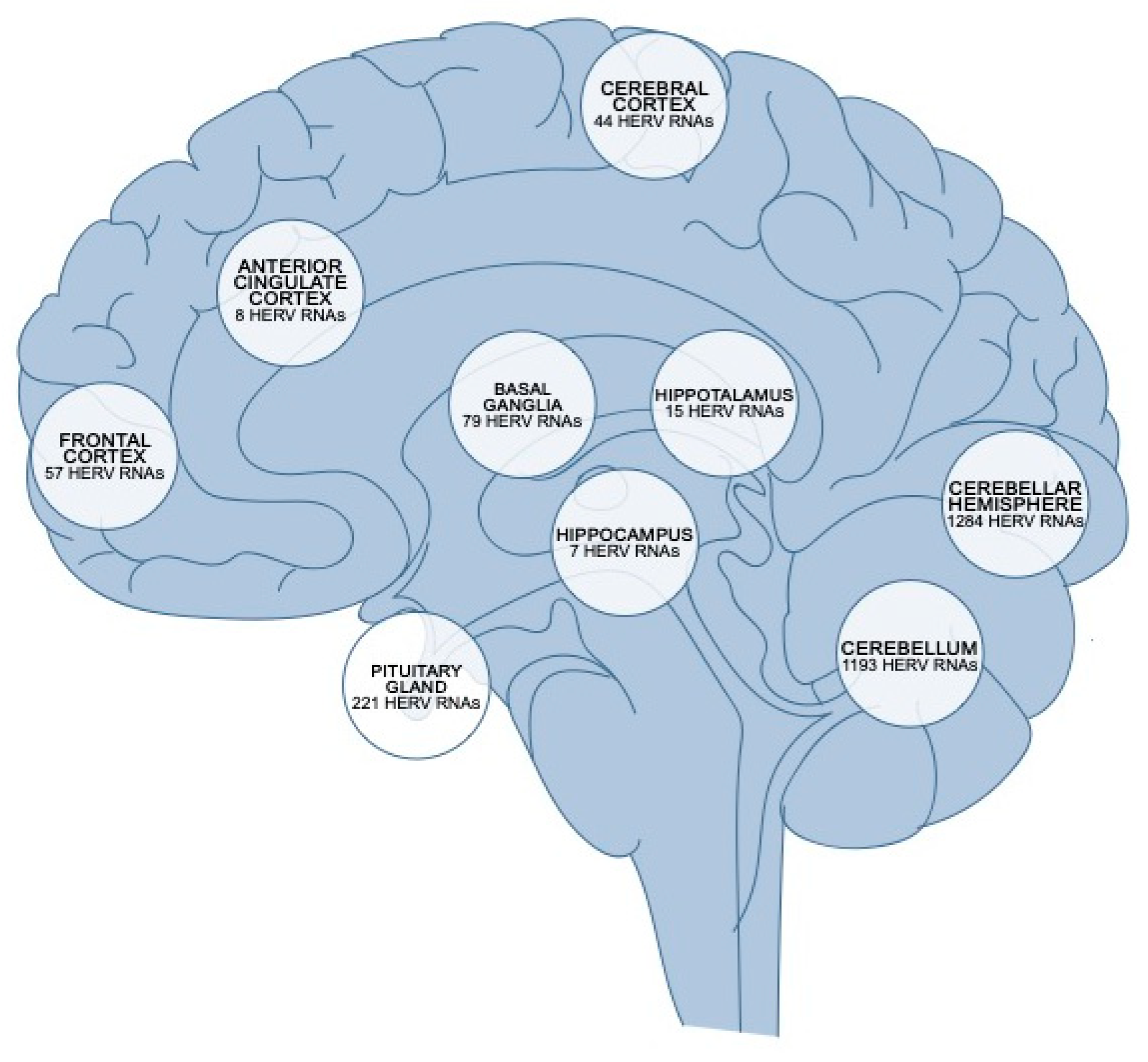 Vaccines 13 00415 g002