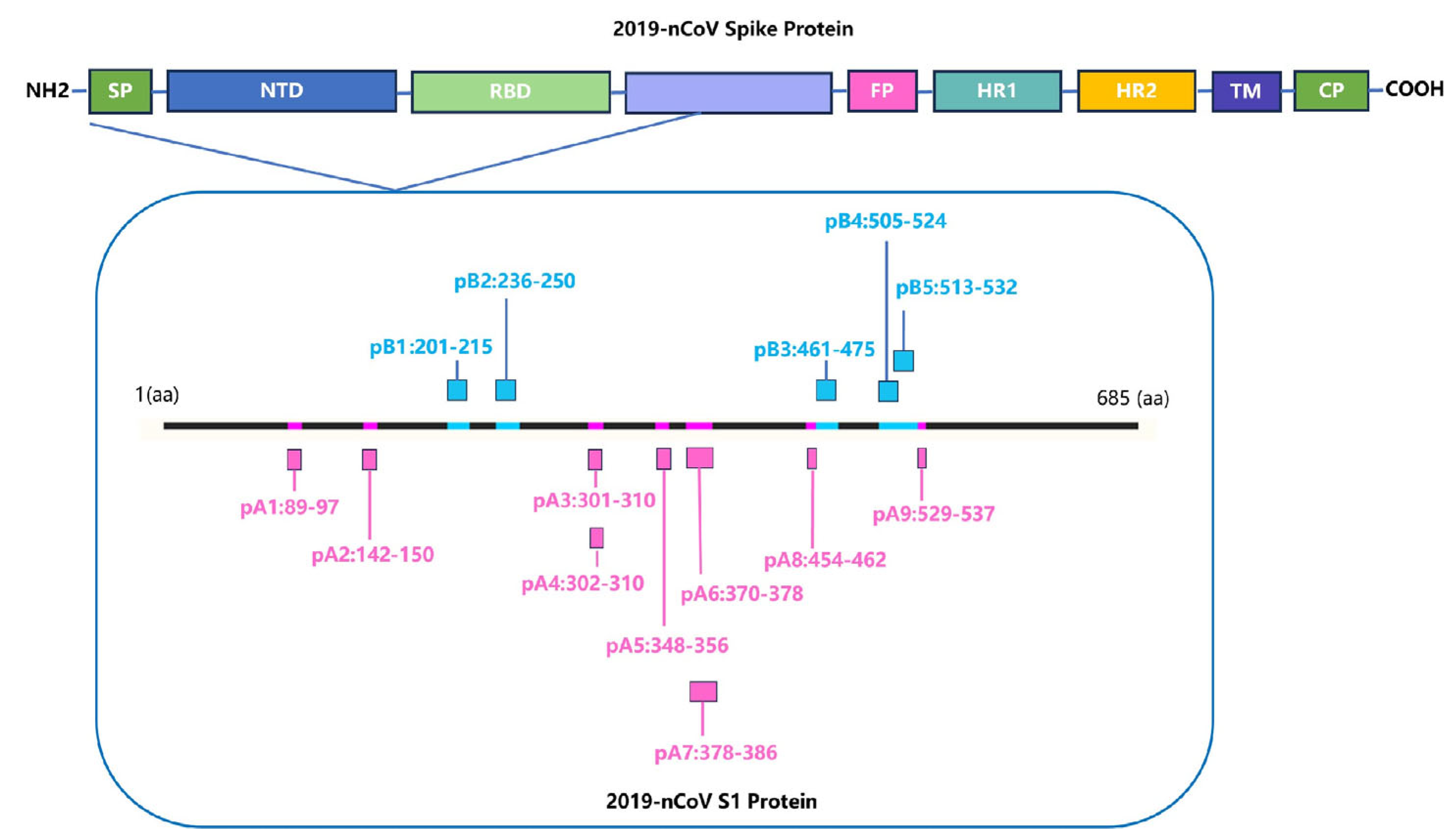 Vaccines 13 00416 g004