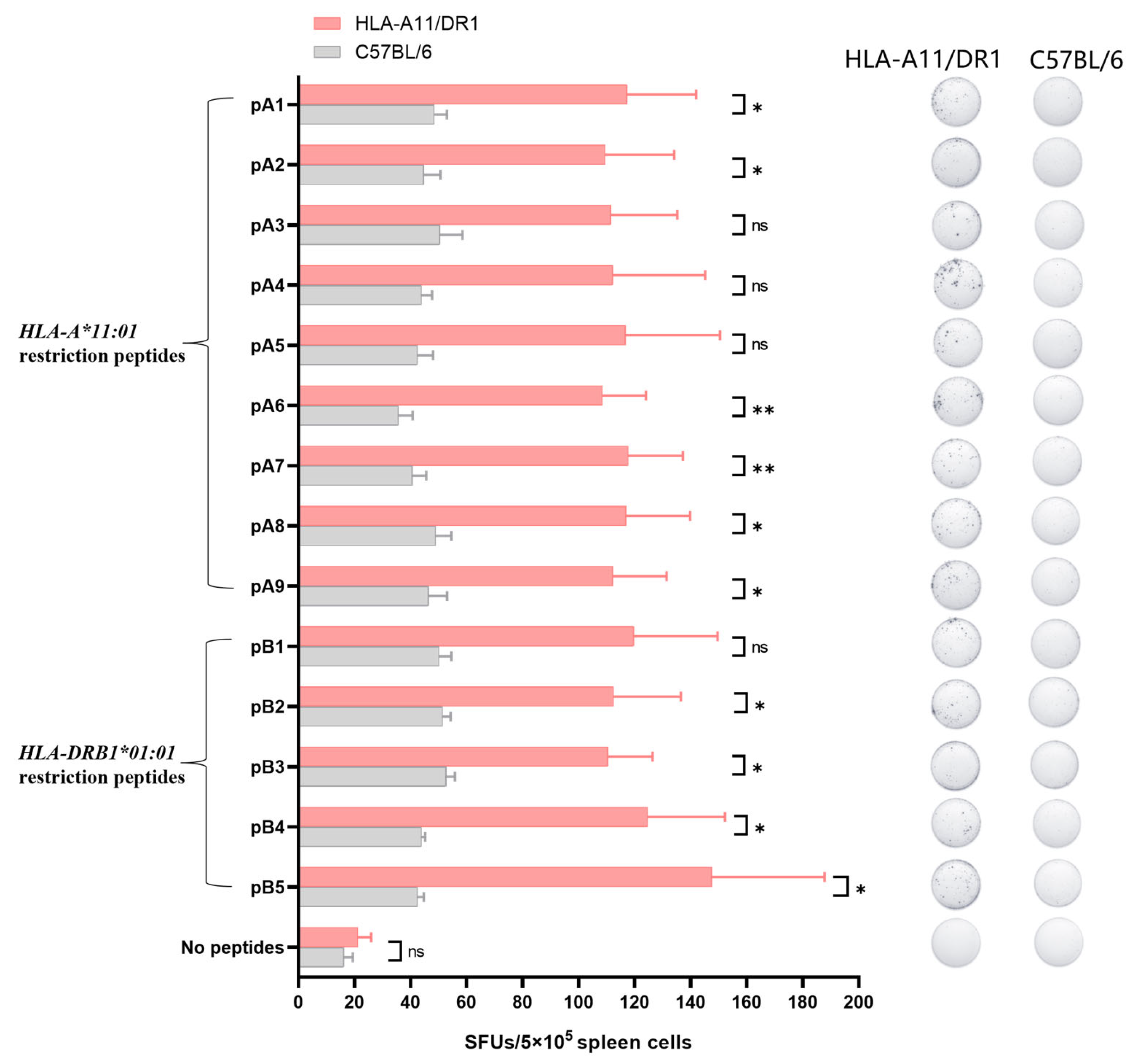 Vaccines 13 00416 g005