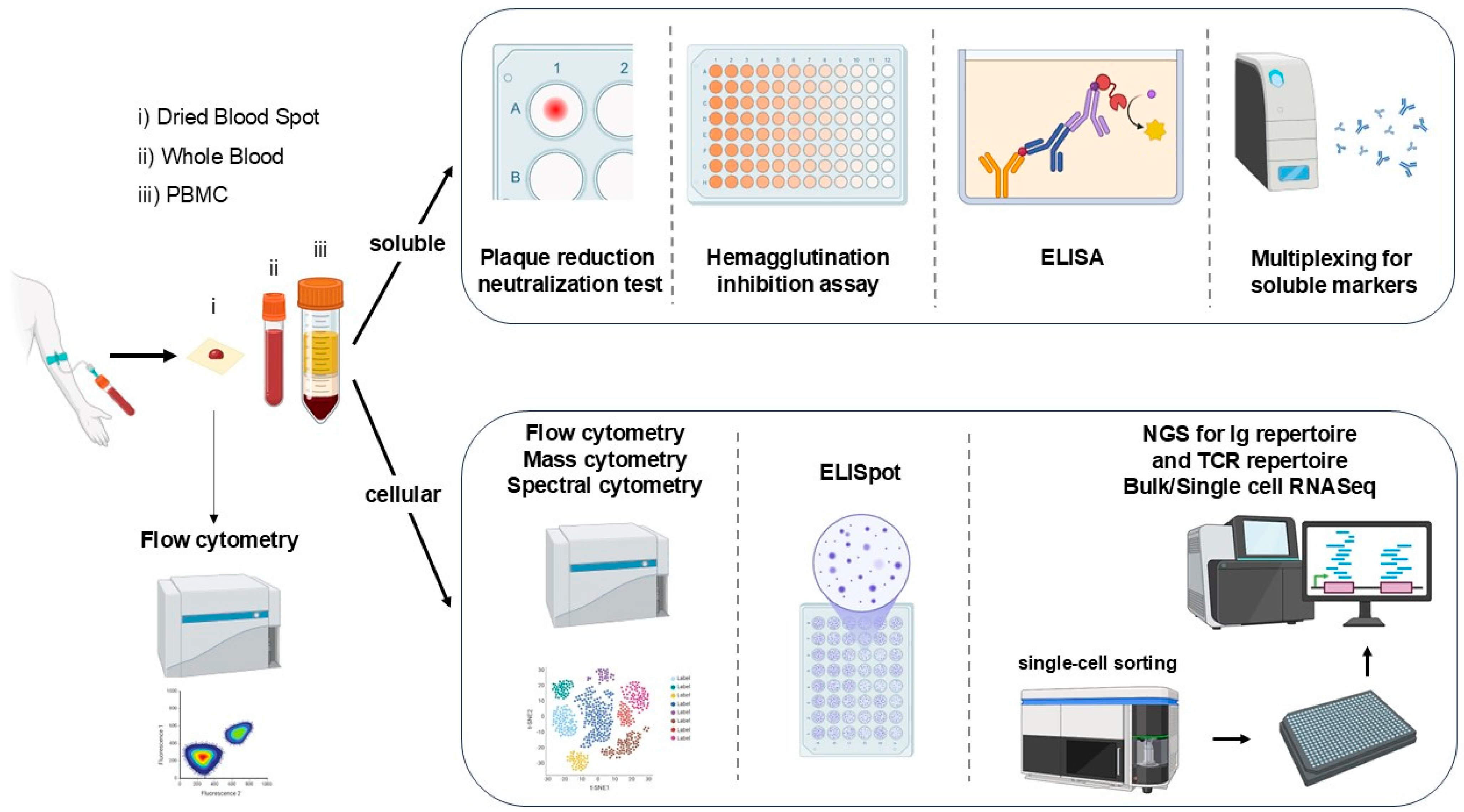 Vaccines 13 00420 g002