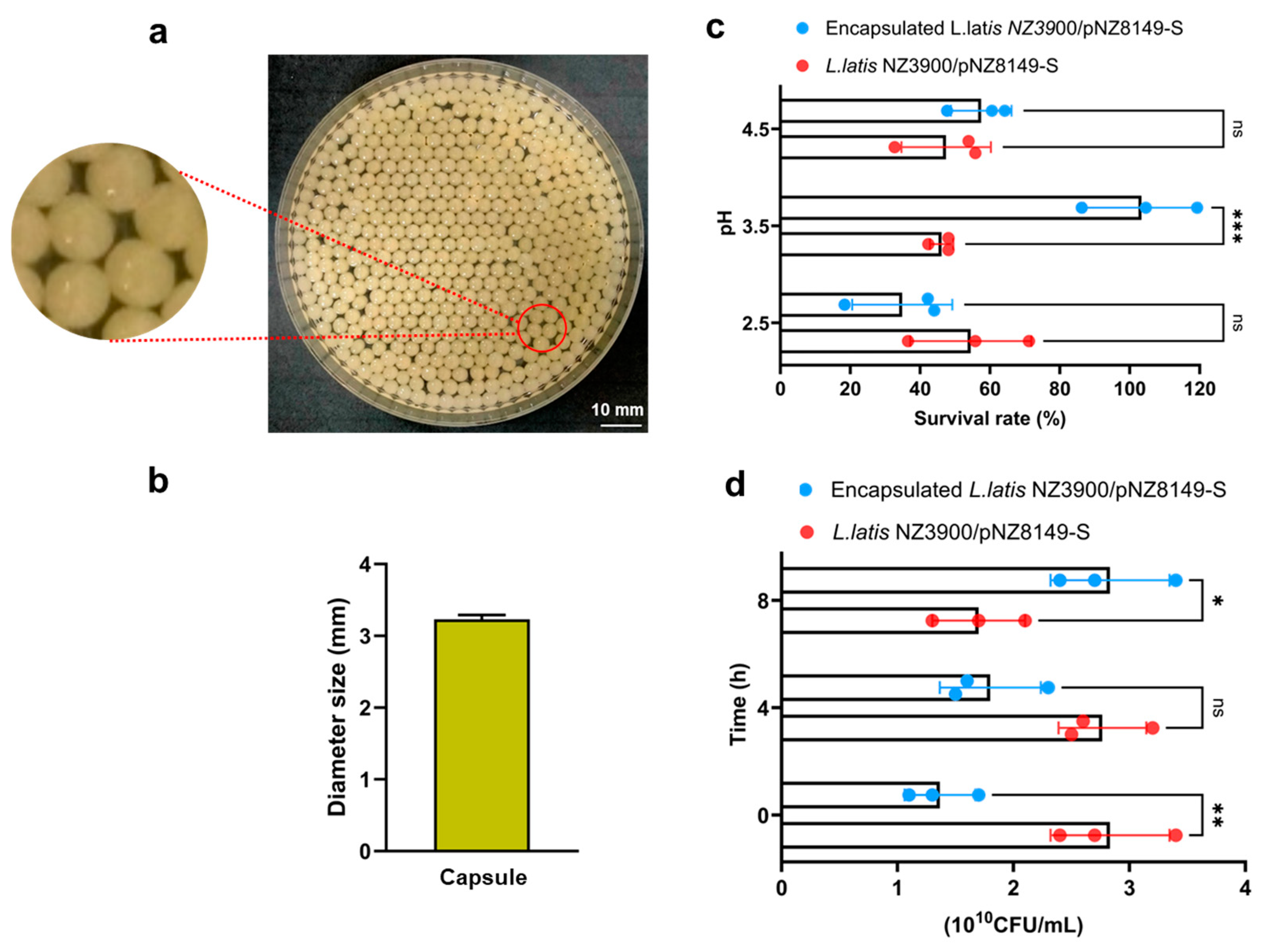 Vaccines 13 00421 g002