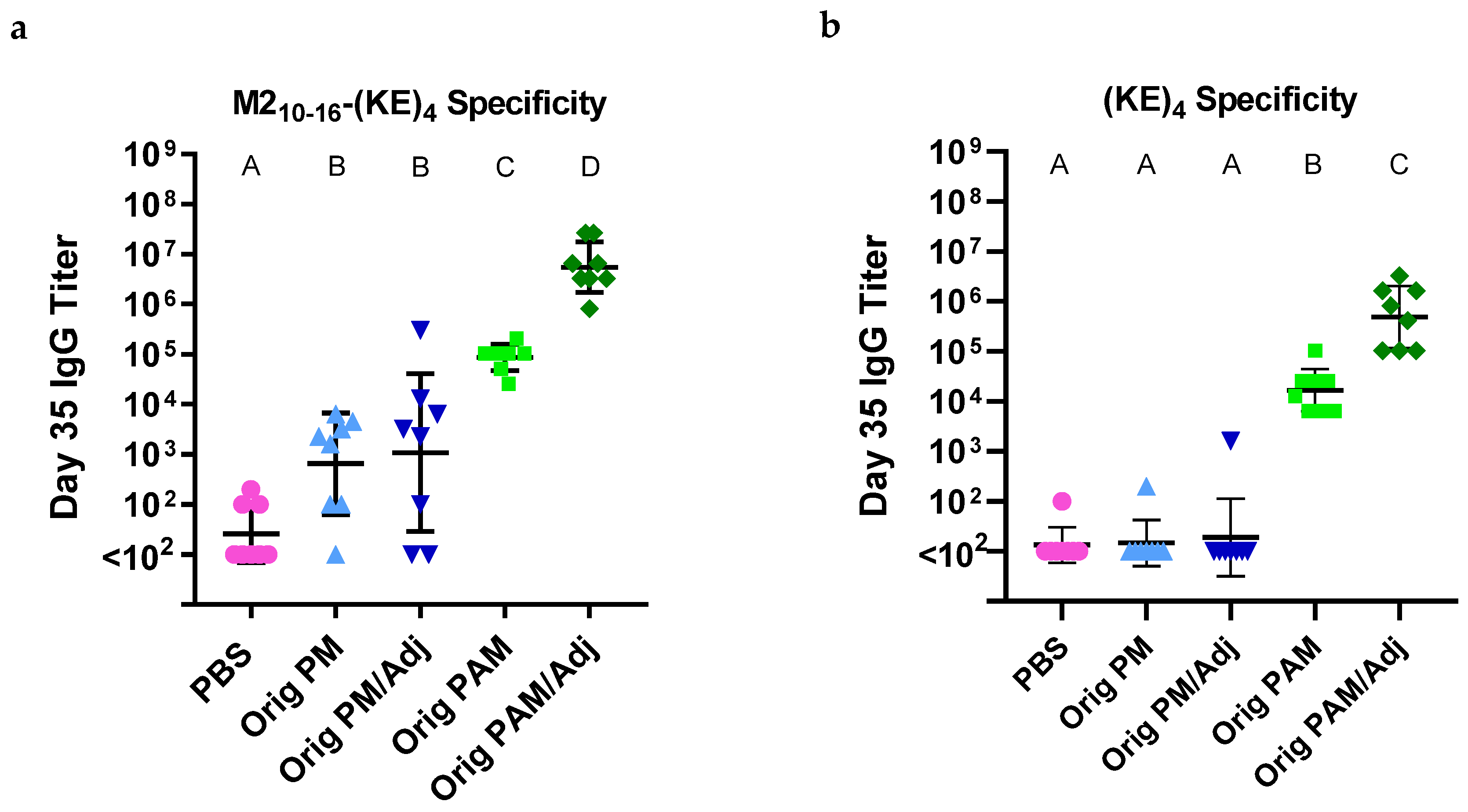 Vaccines 13 00422 g001