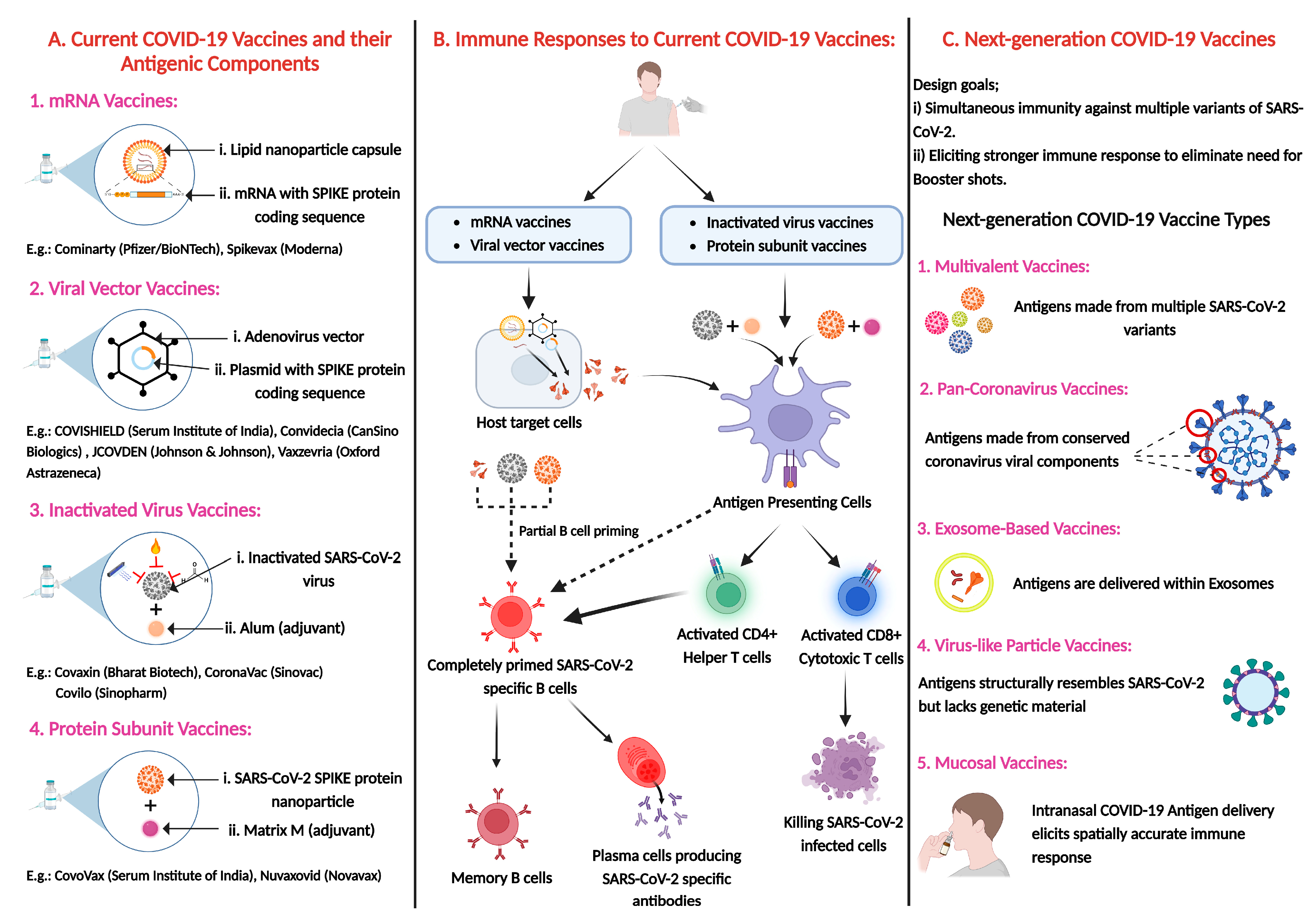 Vaccines 13 00424 g001