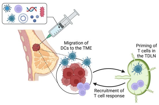 Vaccines 13 00429 g001