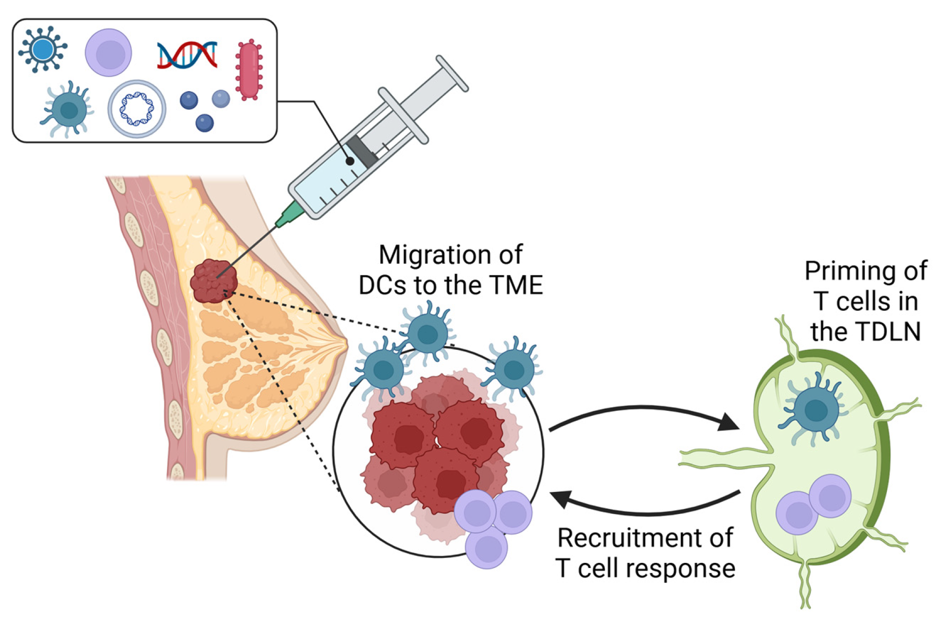 Vaccines 13 00429 g001