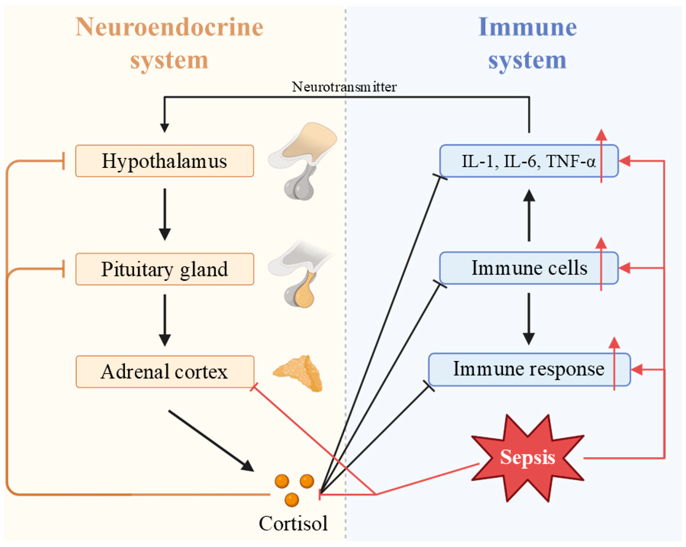 Vaccines 13 00431 g006