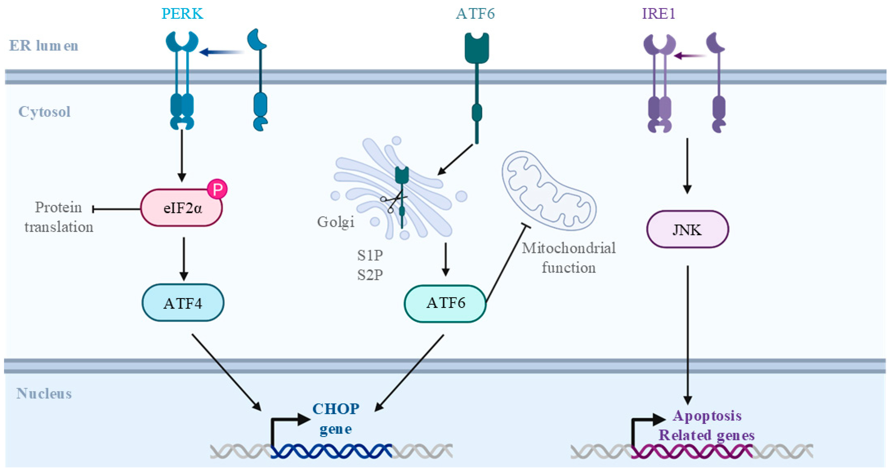 Vaccines 13 00431 g007