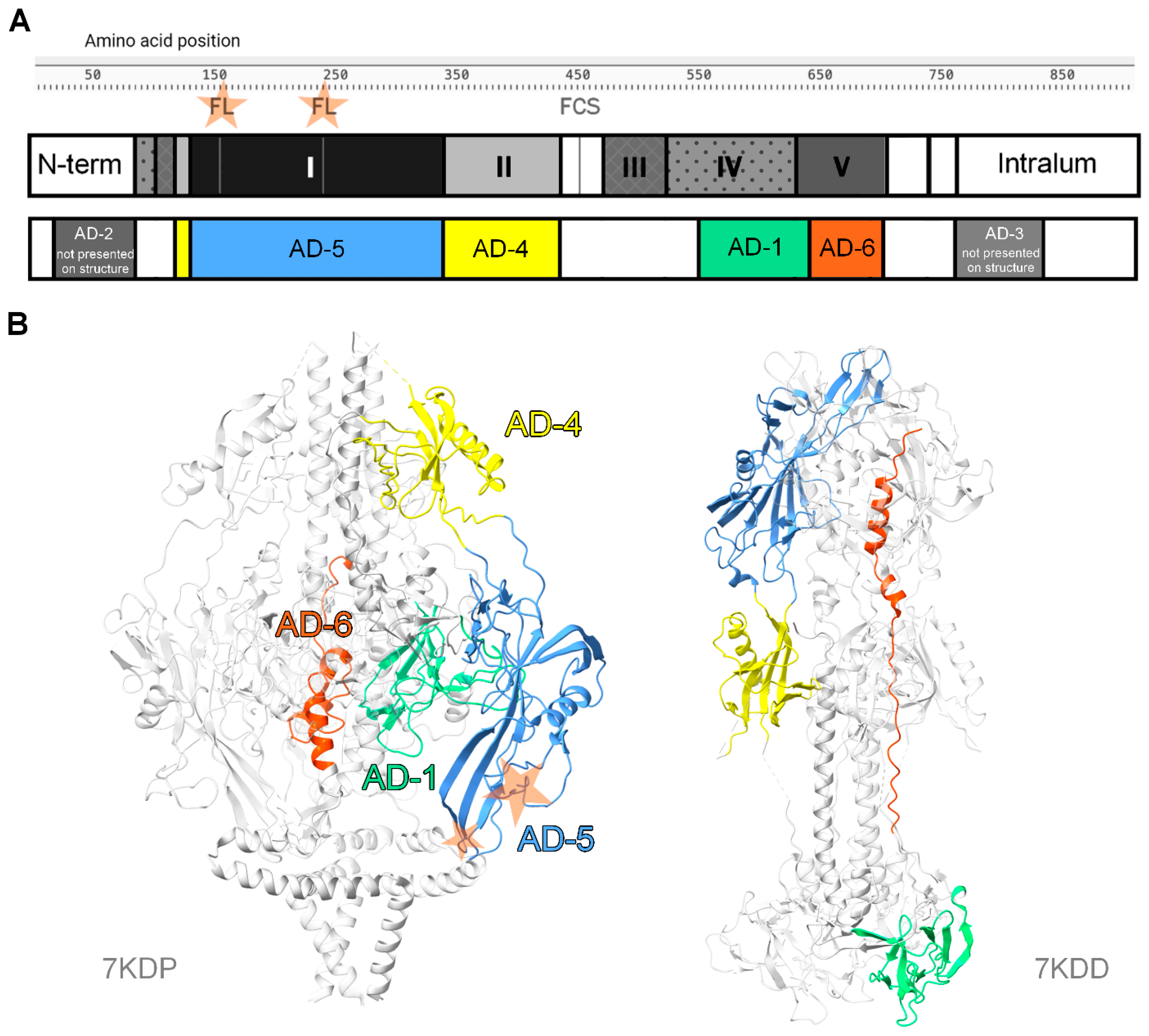 Vaccines 13 00435 g001