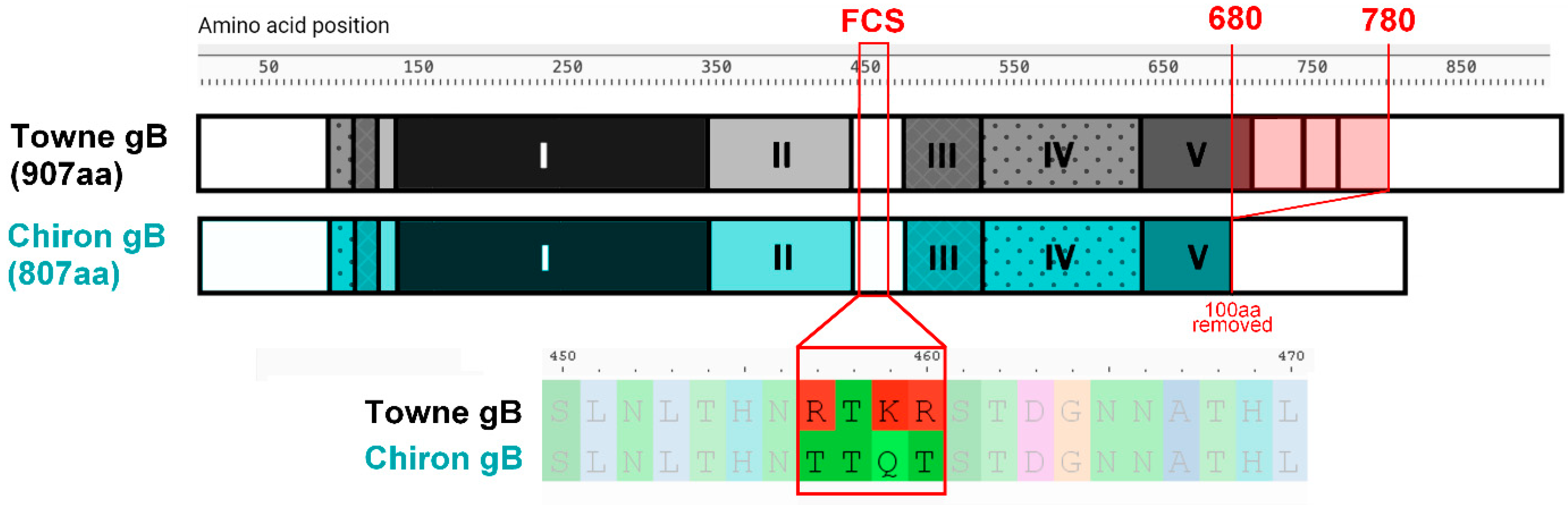 Vaccines 13 00435 g002