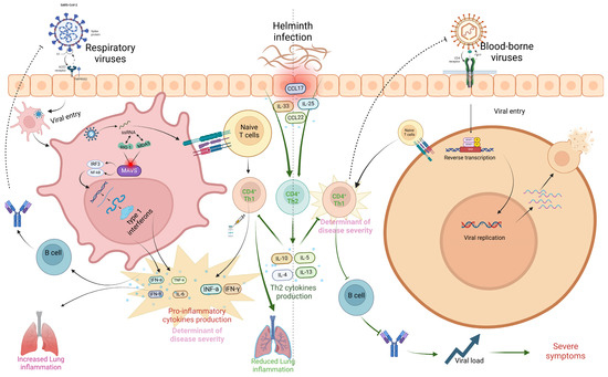Vaccines 13 00436 g004