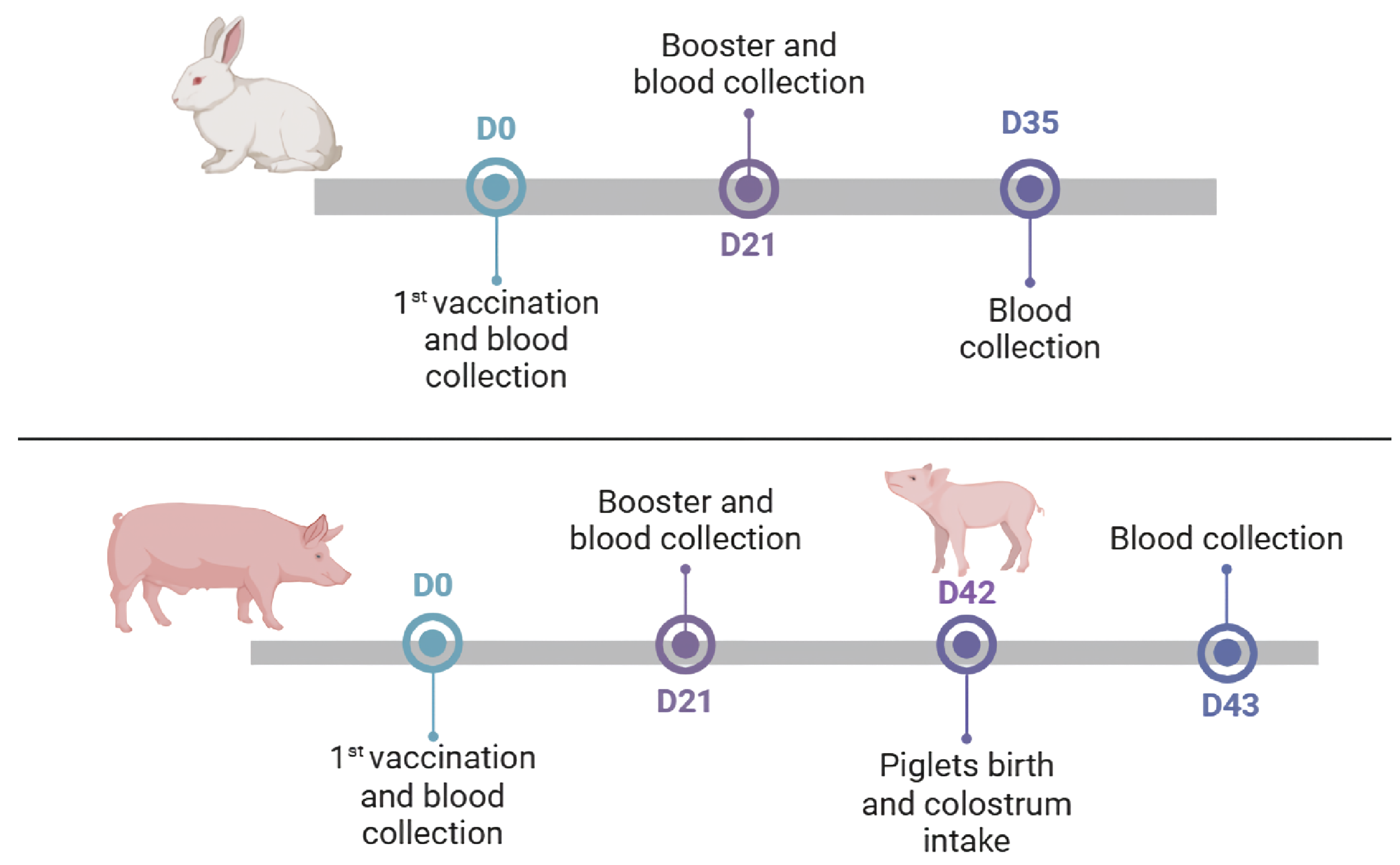 Vaccines 13 00438 g001
