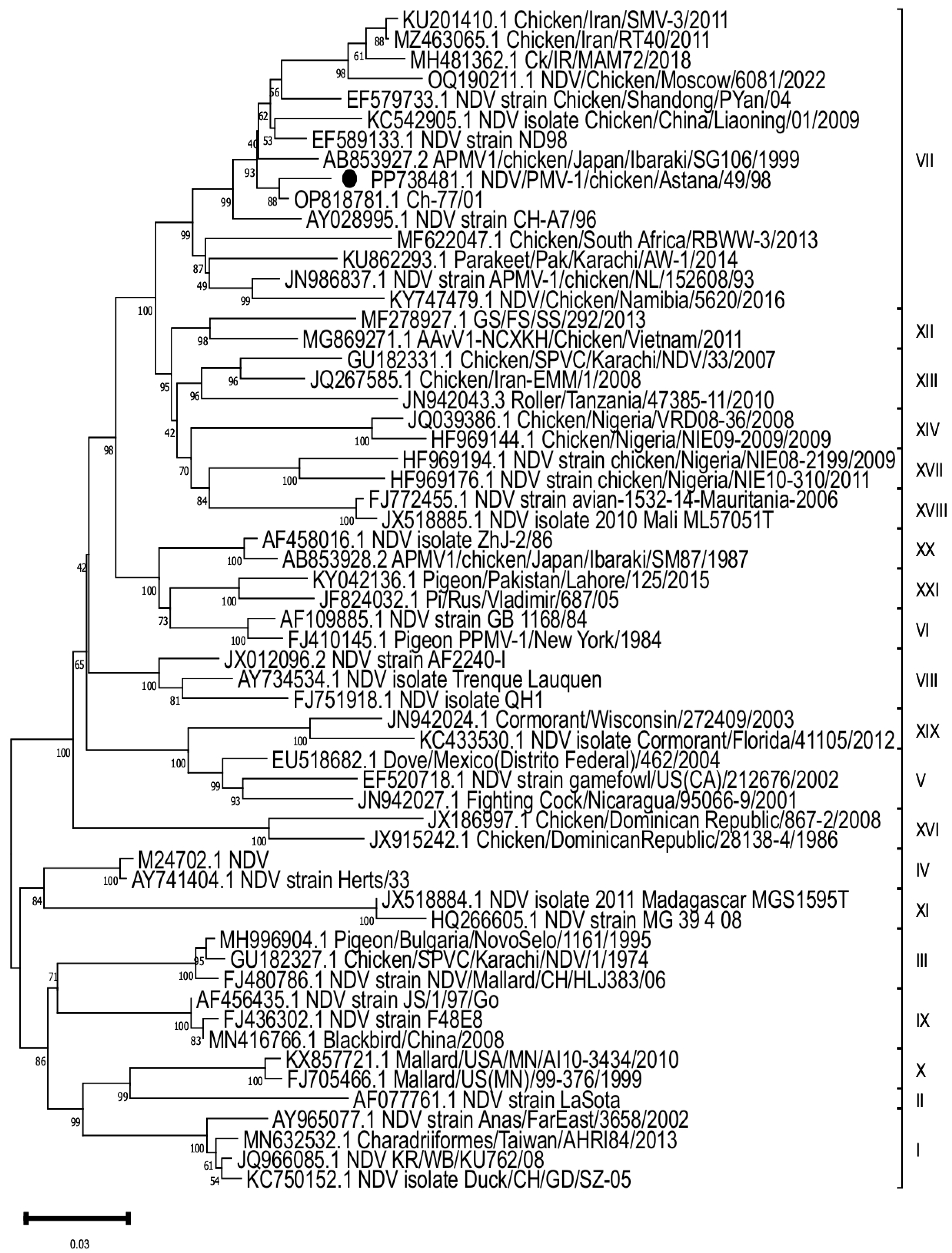 Vaccines 13 00440 g001 Vaccines 13 00440 g001