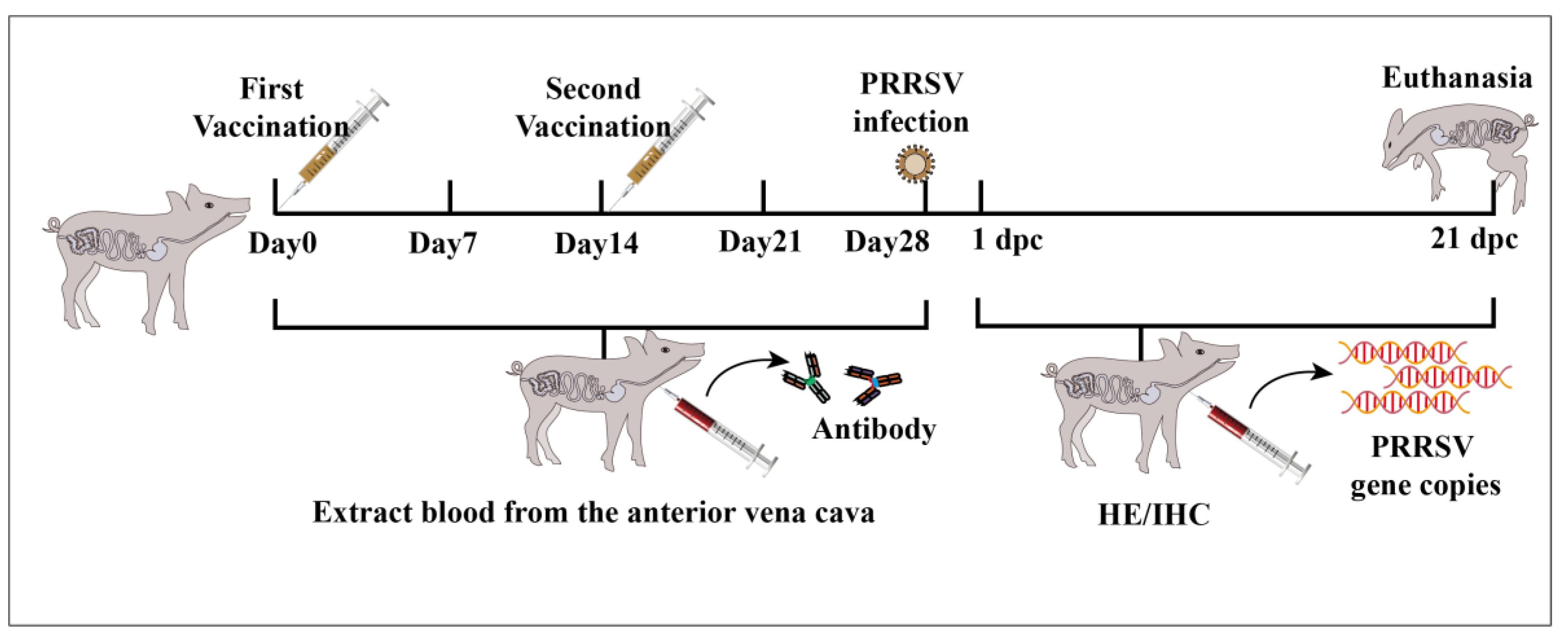 Vaccines 13 00441 g001