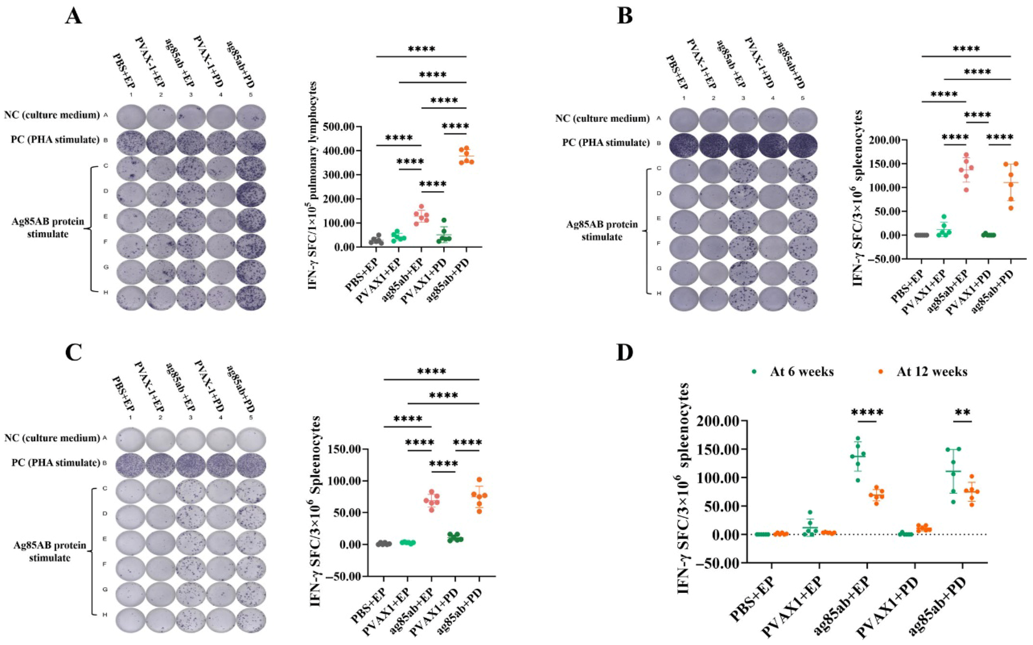 Vaccines 13 00442 g002