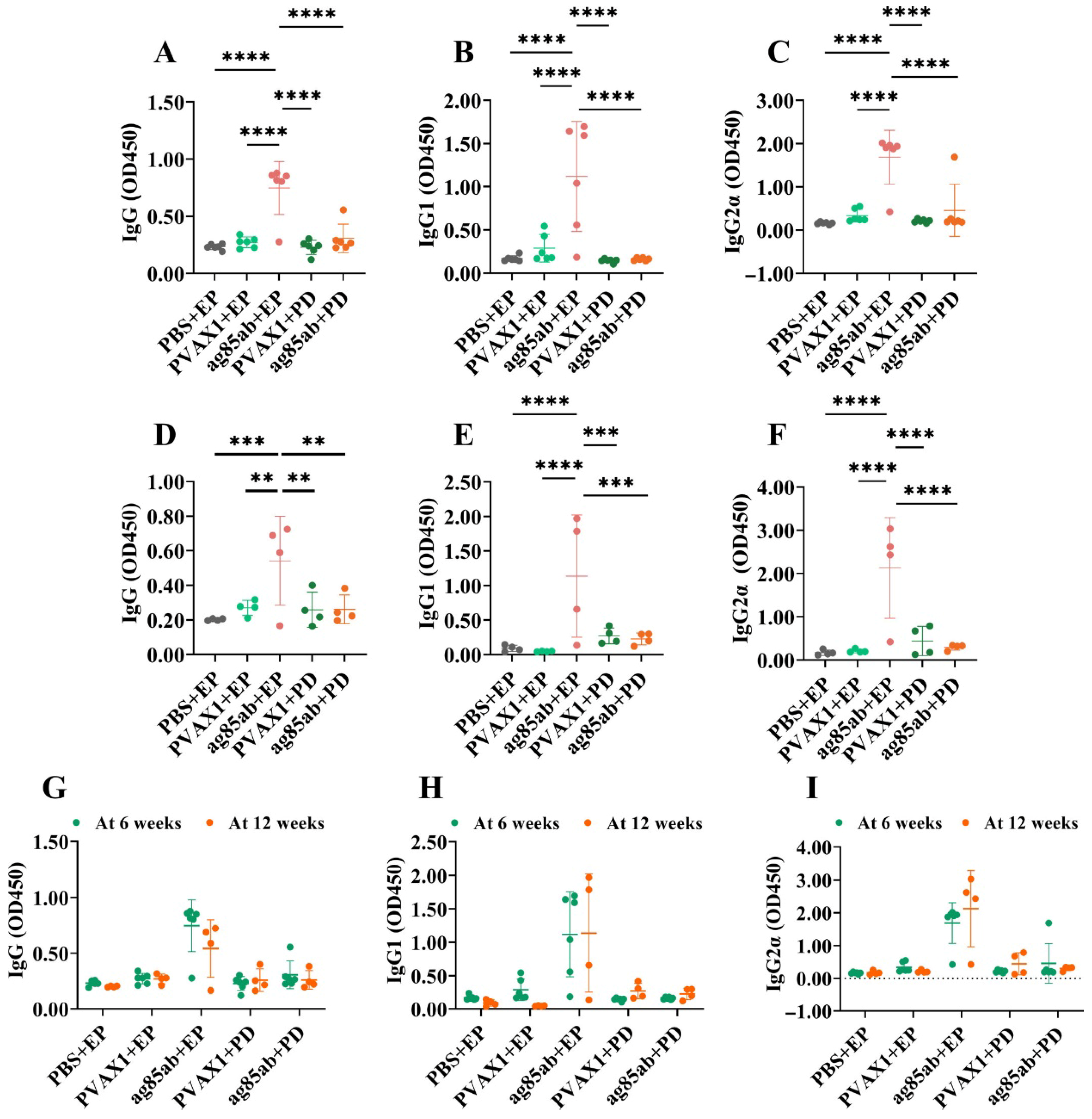 Vaccines 13 00442 g006