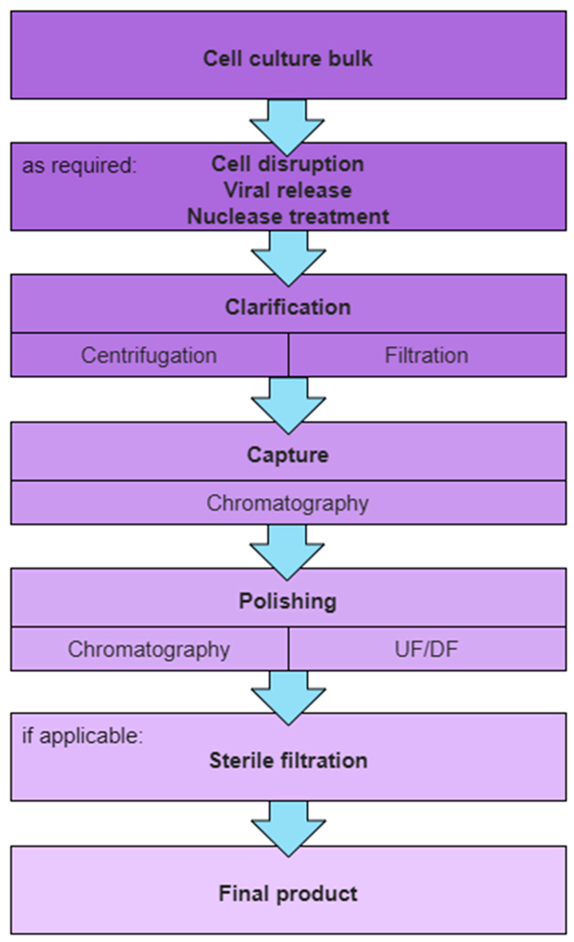 Vaccines 13 00444 g001