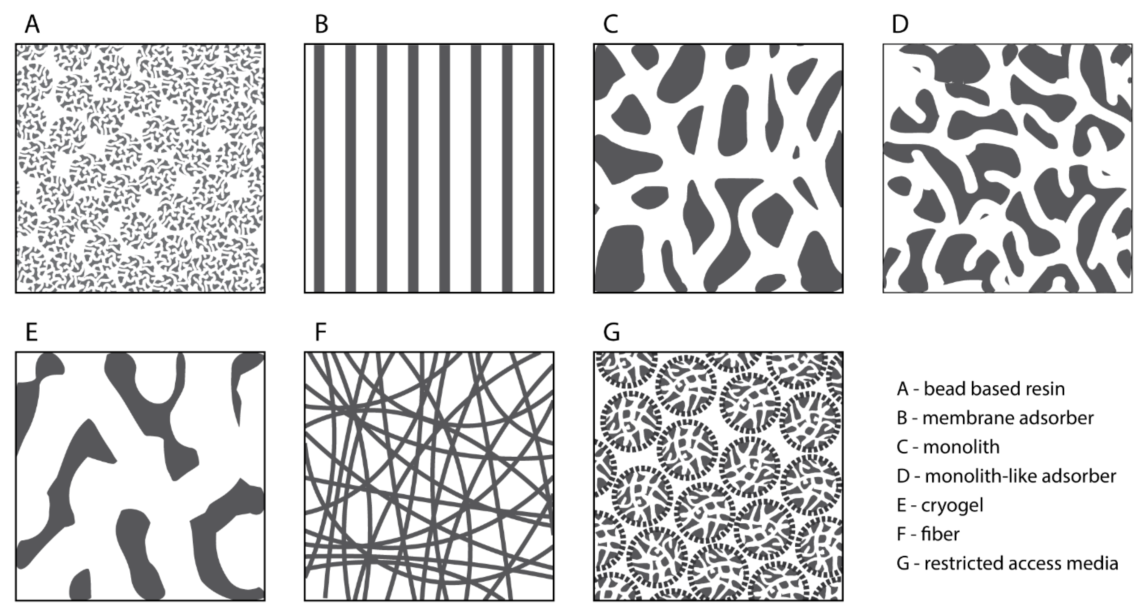 Vaccines 13 00444 g002