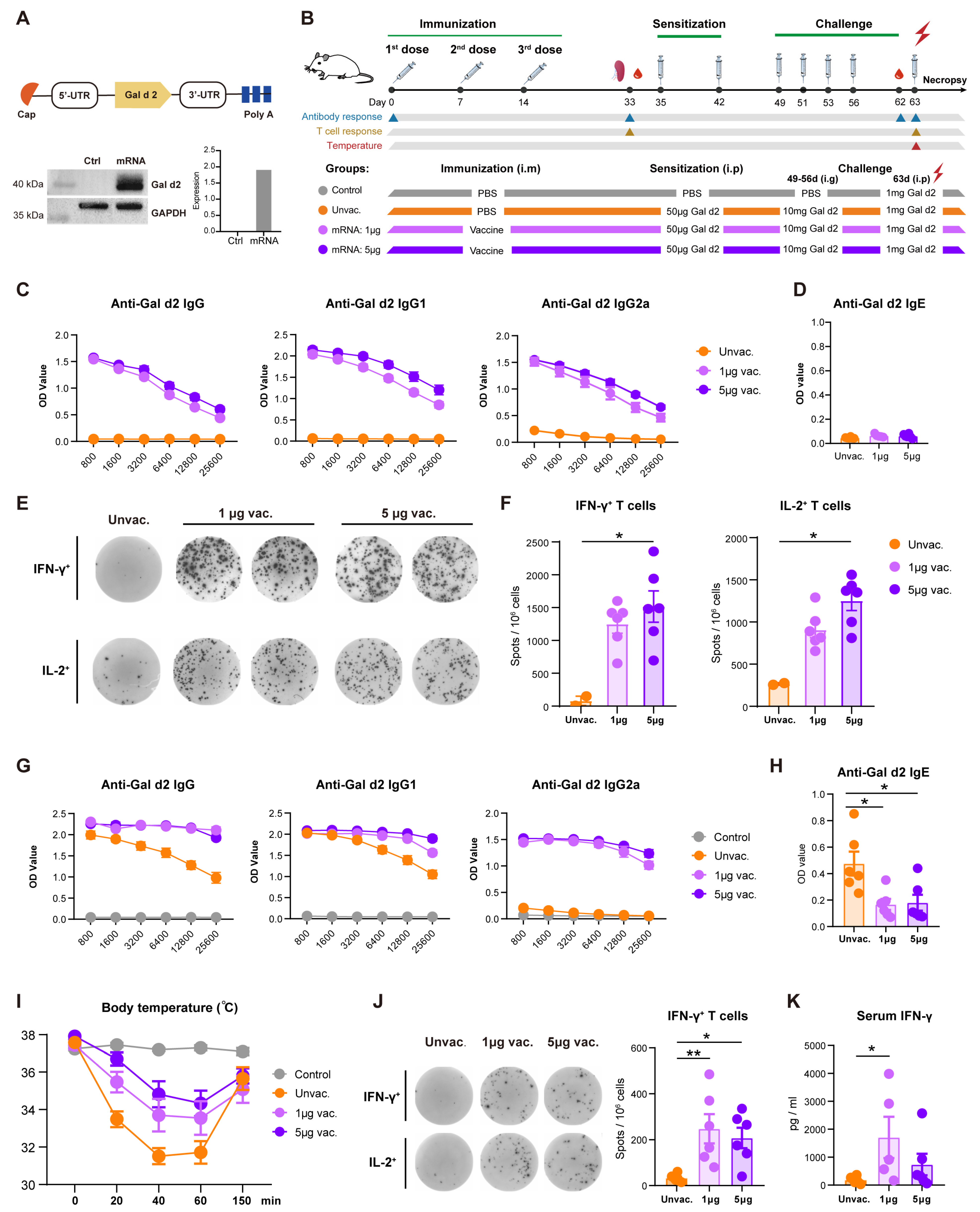 Vaccines 13 00448 g001