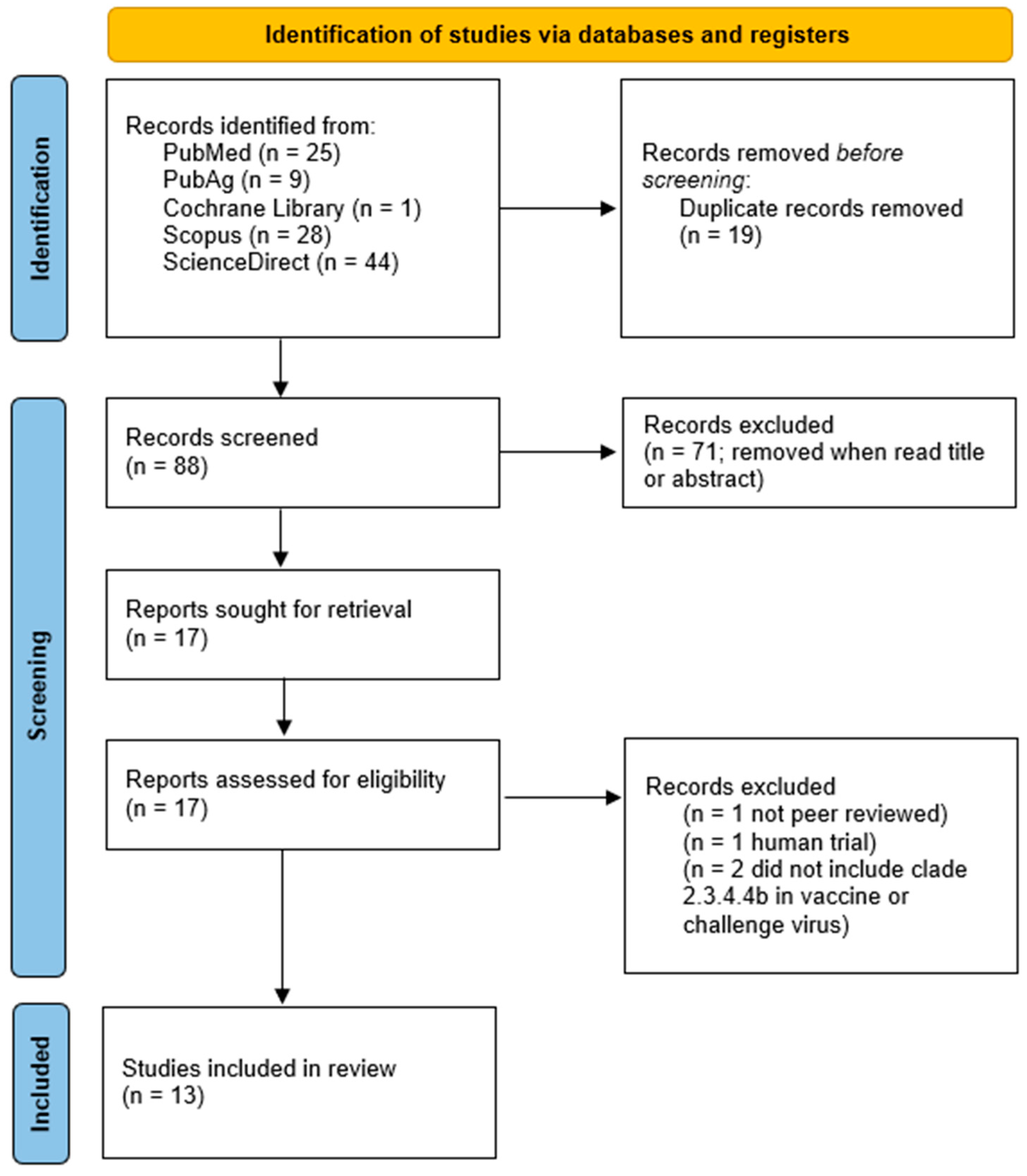 Vaccines 13 00453 g002