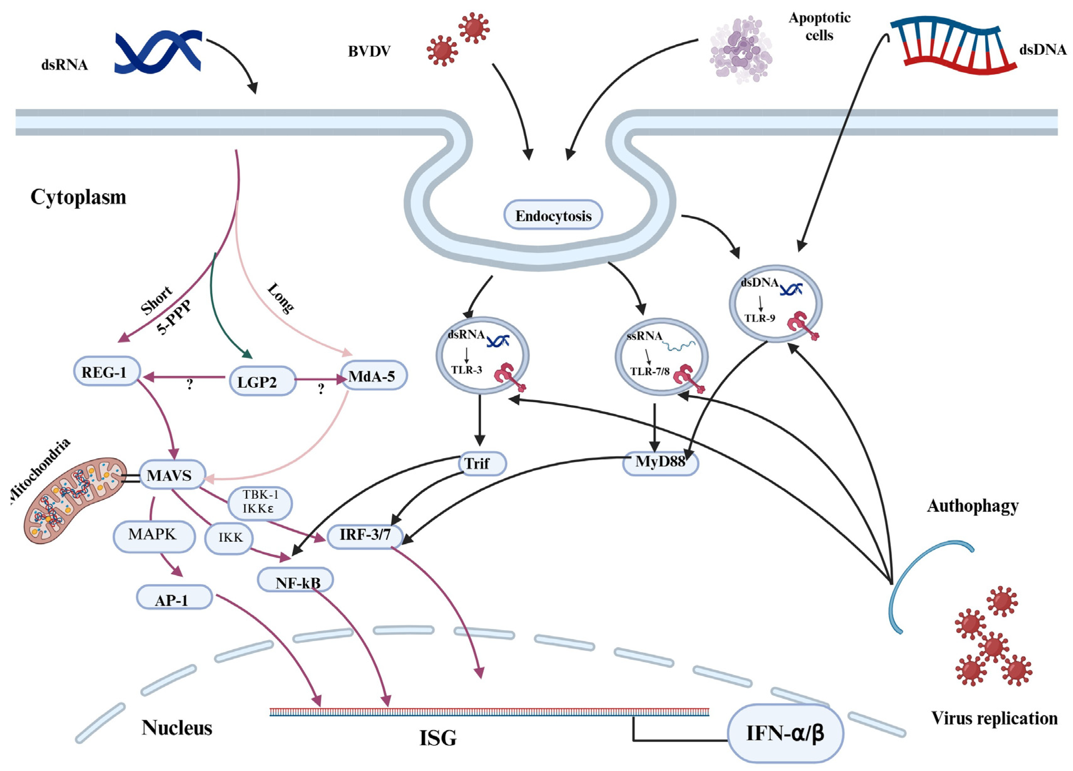 Vaccines 13 00456 g001 Vaccines 13 00456 g001