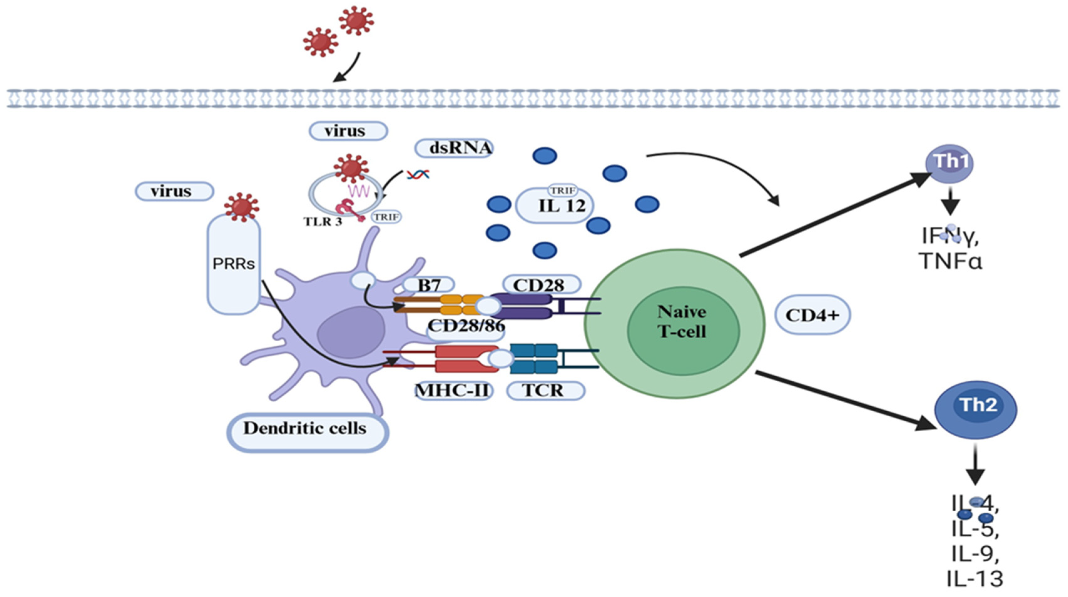 Vaccines 13 00456 g003 Vaccines 13 00456 g003