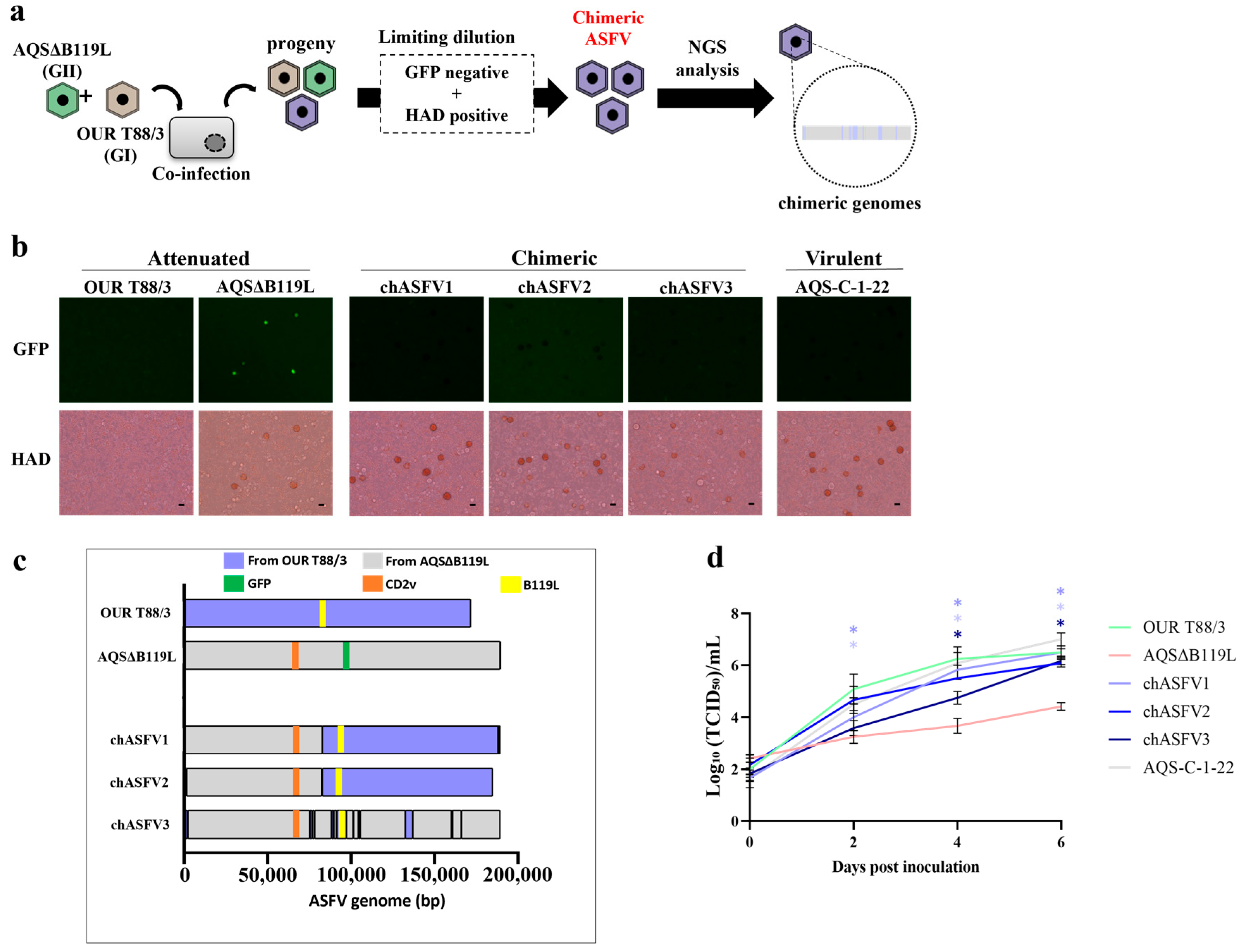 Vaccines 13 00462 g002