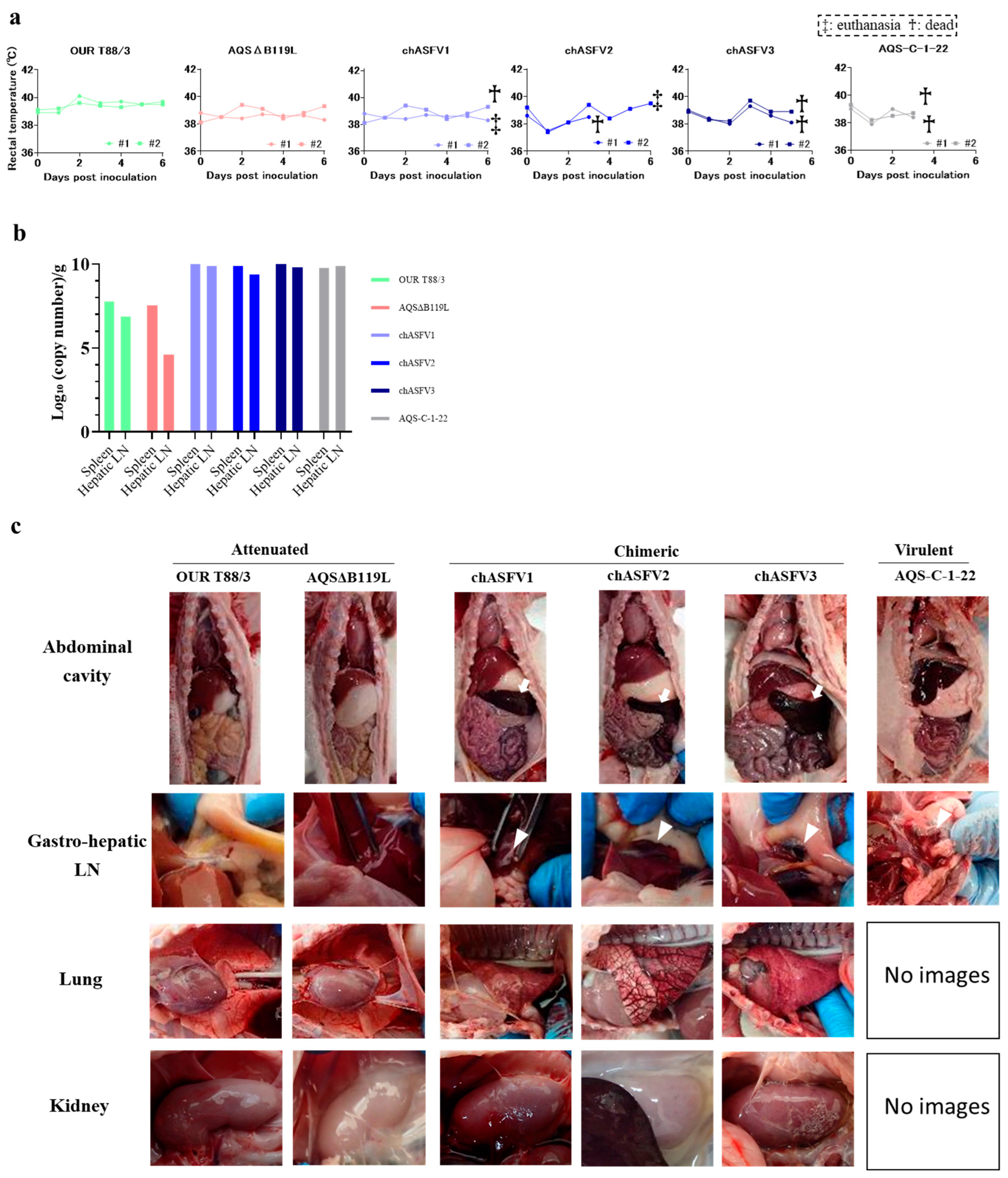 Vaccines 13 00462 g003