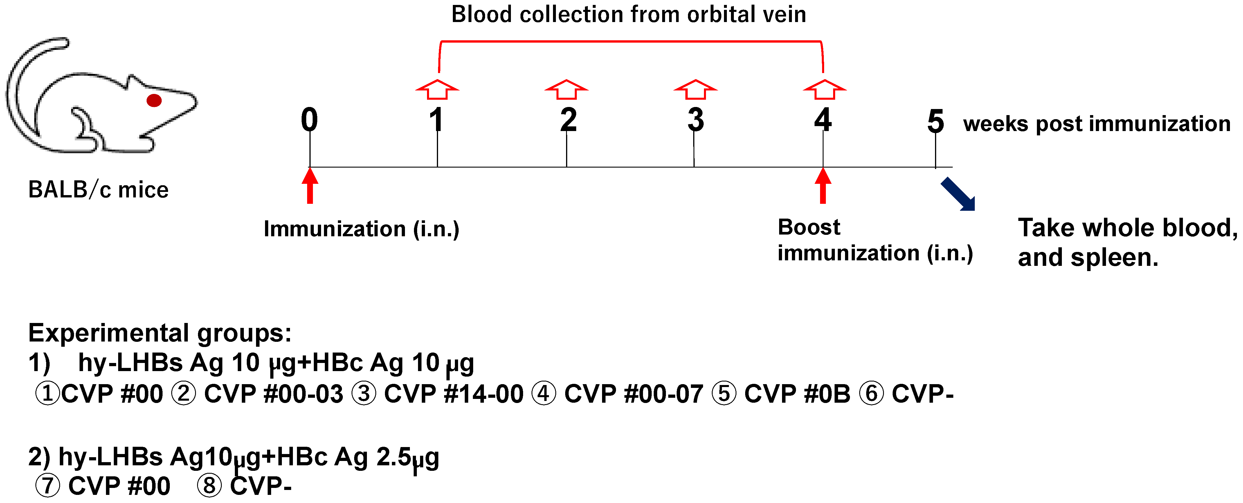 Vaccines 13 00464 g001