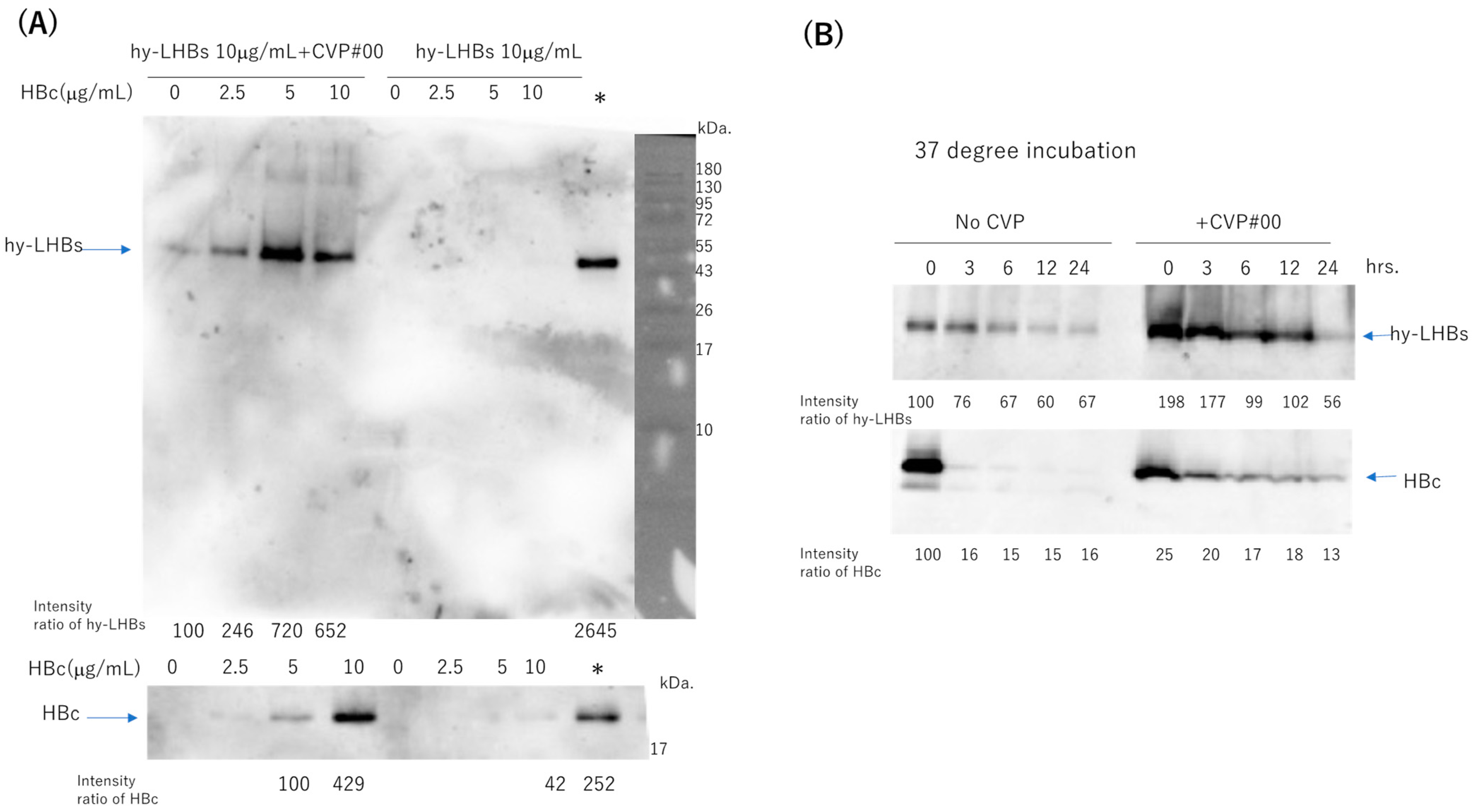 Vaccines 13 00464 g007
