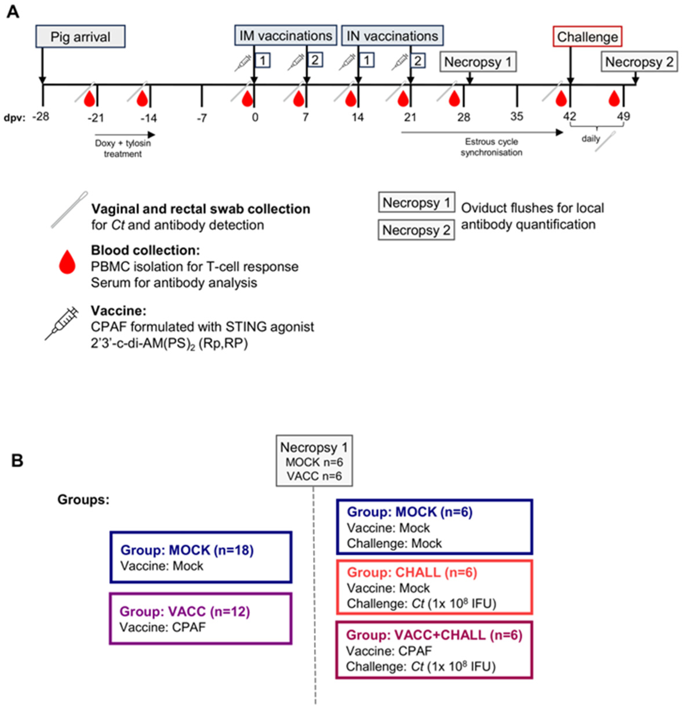 Vaccines 13 00468 g001