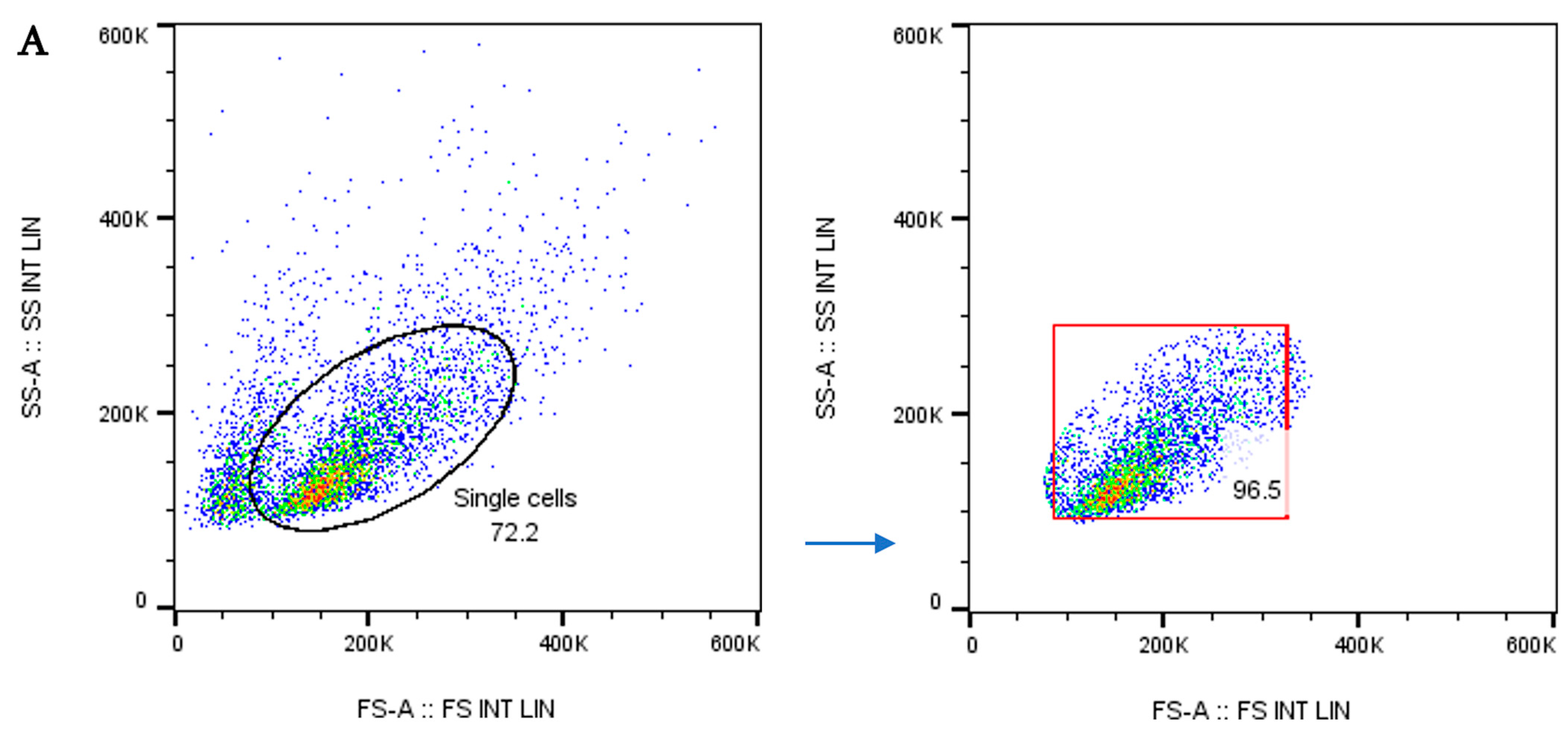 Vaccines 13 00474 g003a Vaccines 13 00474 g003a