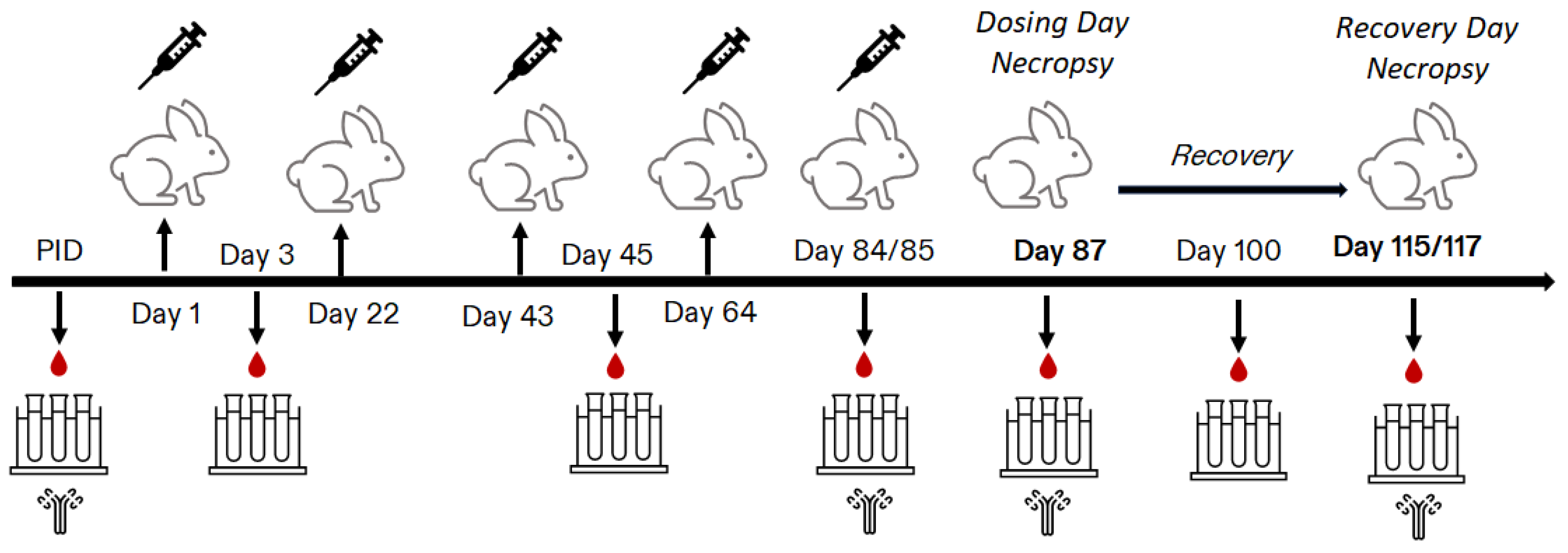 Vaccines 13 00486 g001
