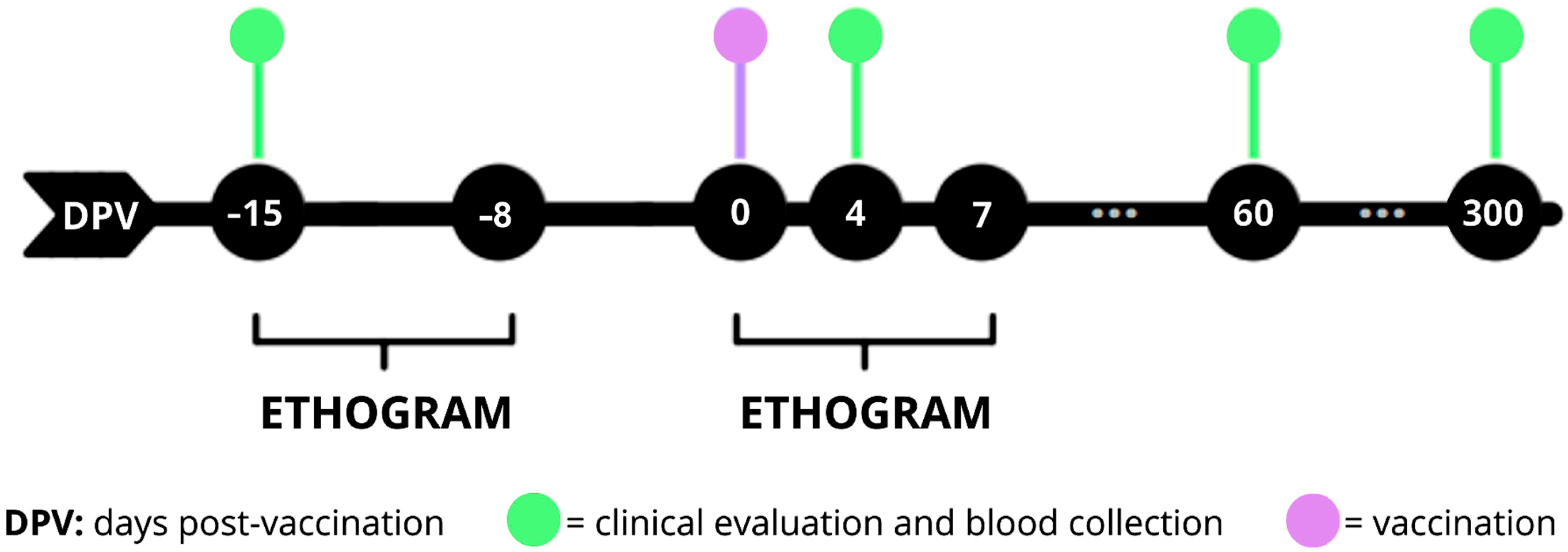 Vaccines 13 00487 g001