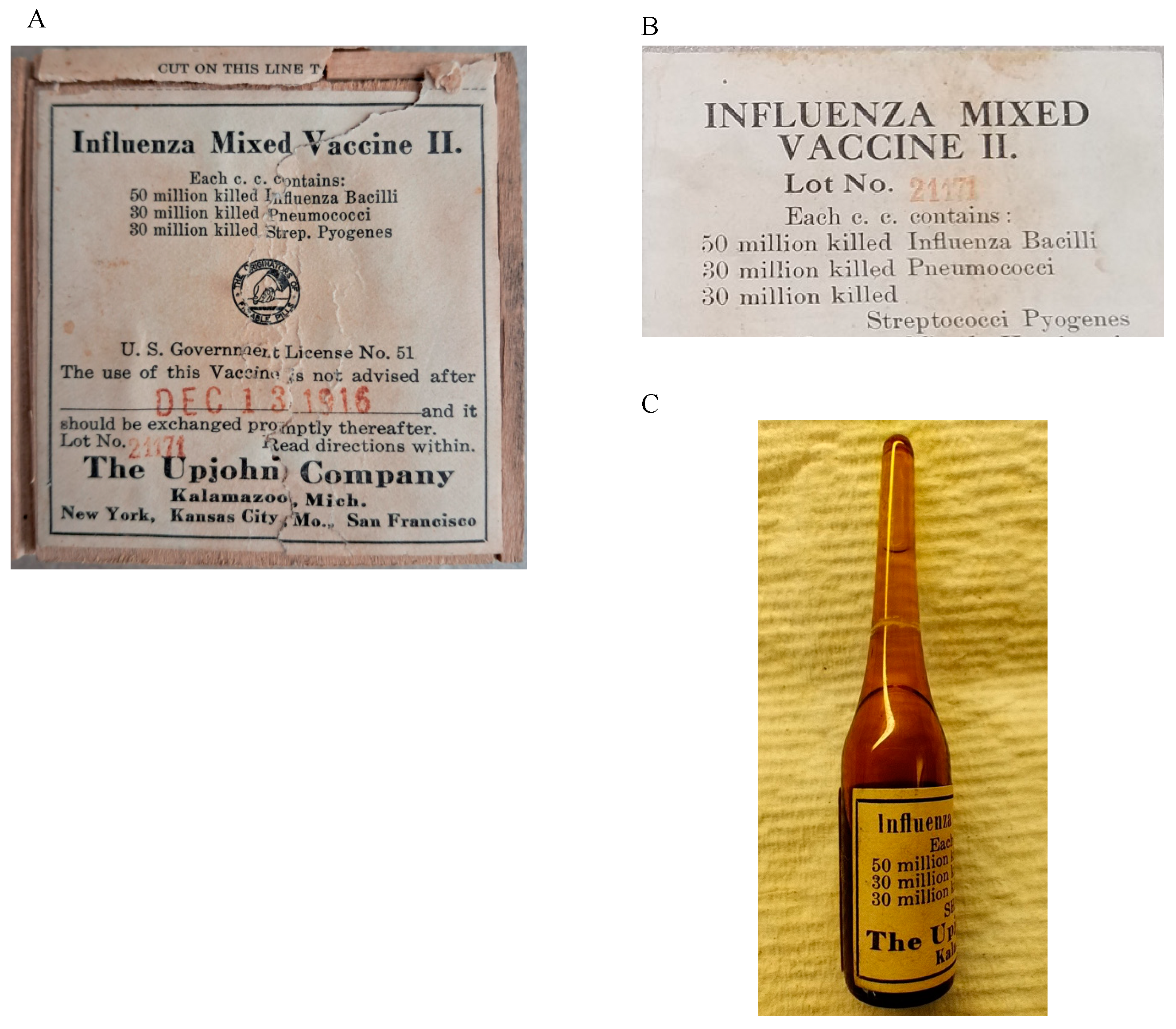 Vaccines 13 00491 g001