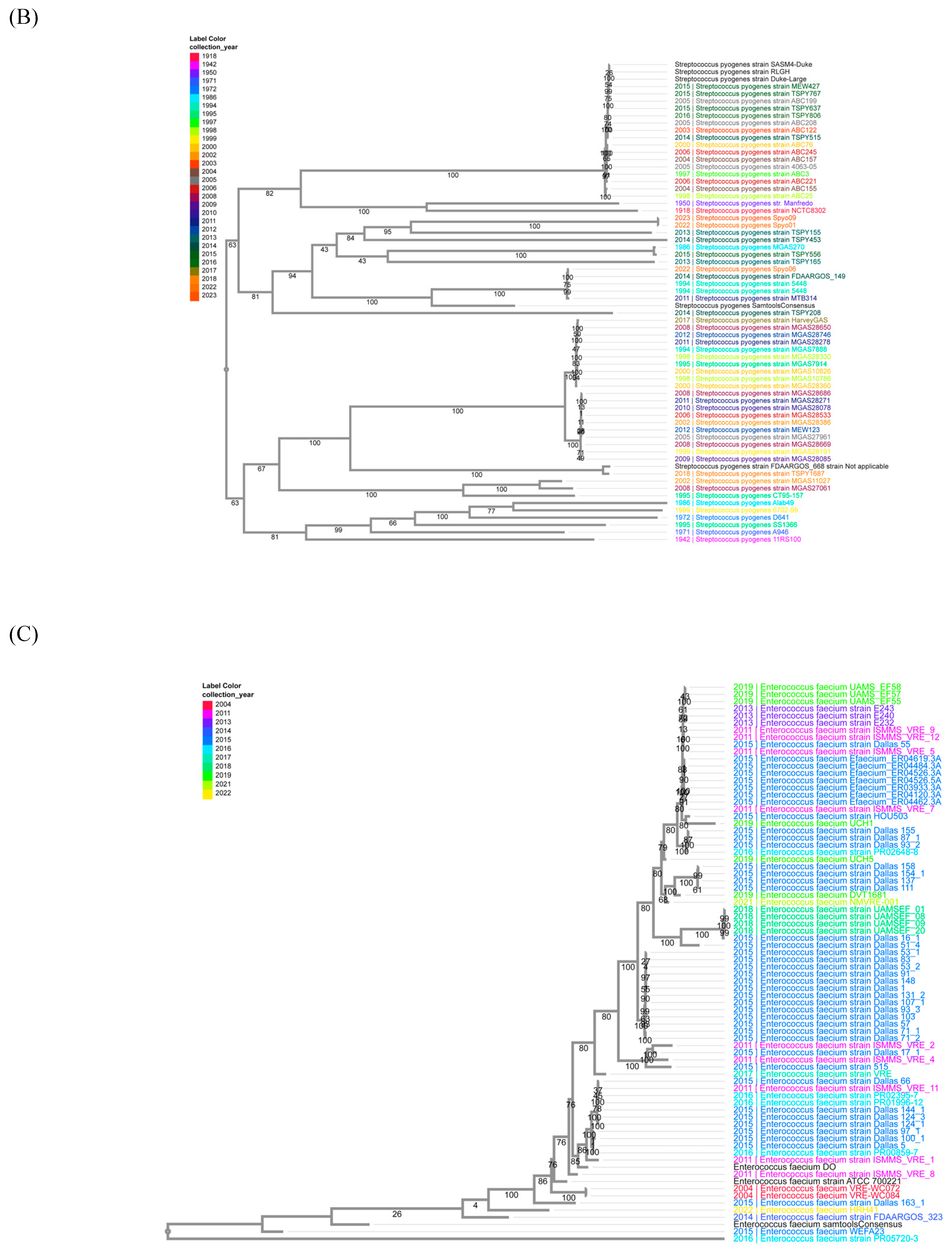 Vaccines 13 00491 g003b