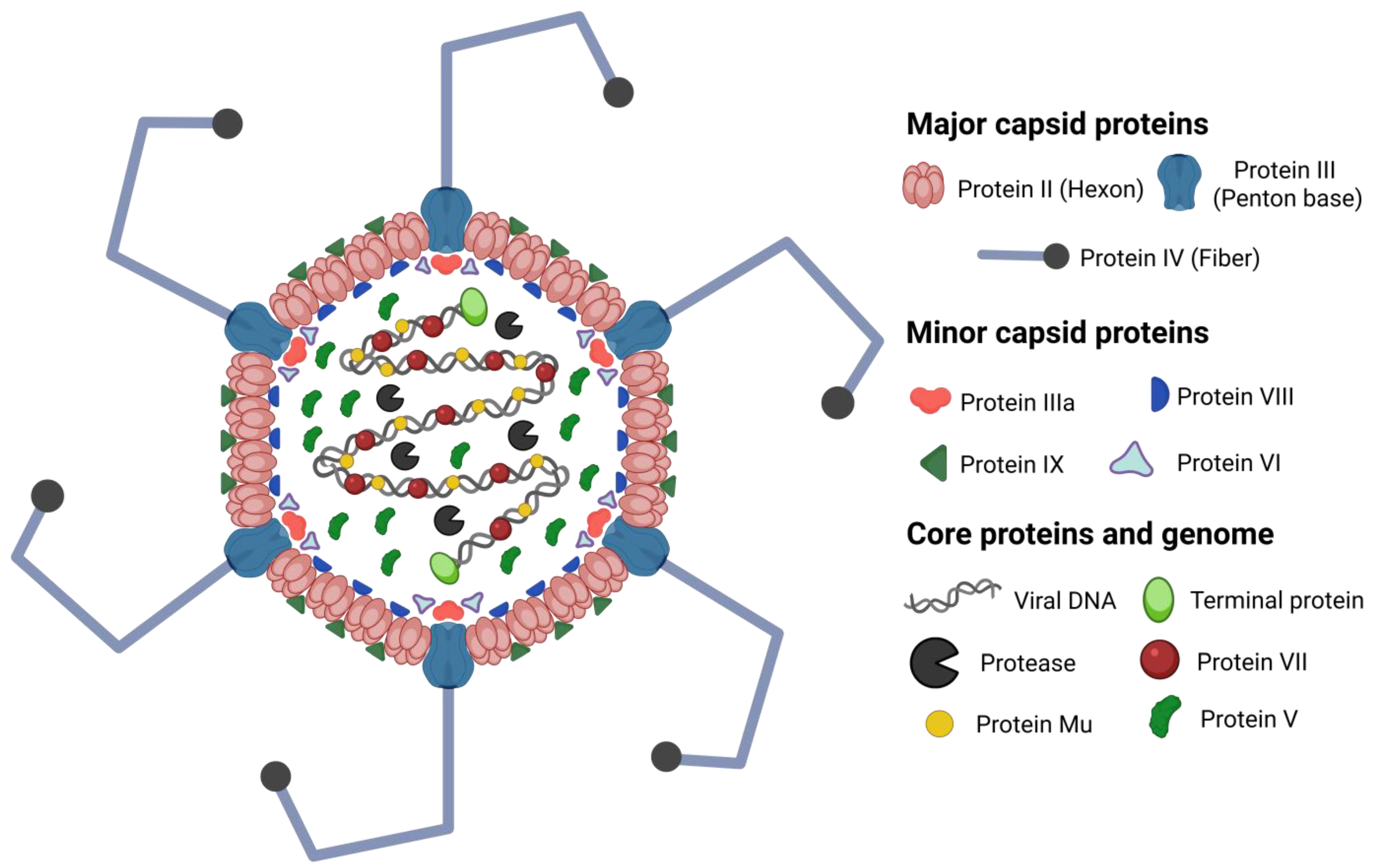 Vaccines 13 00494 g002
