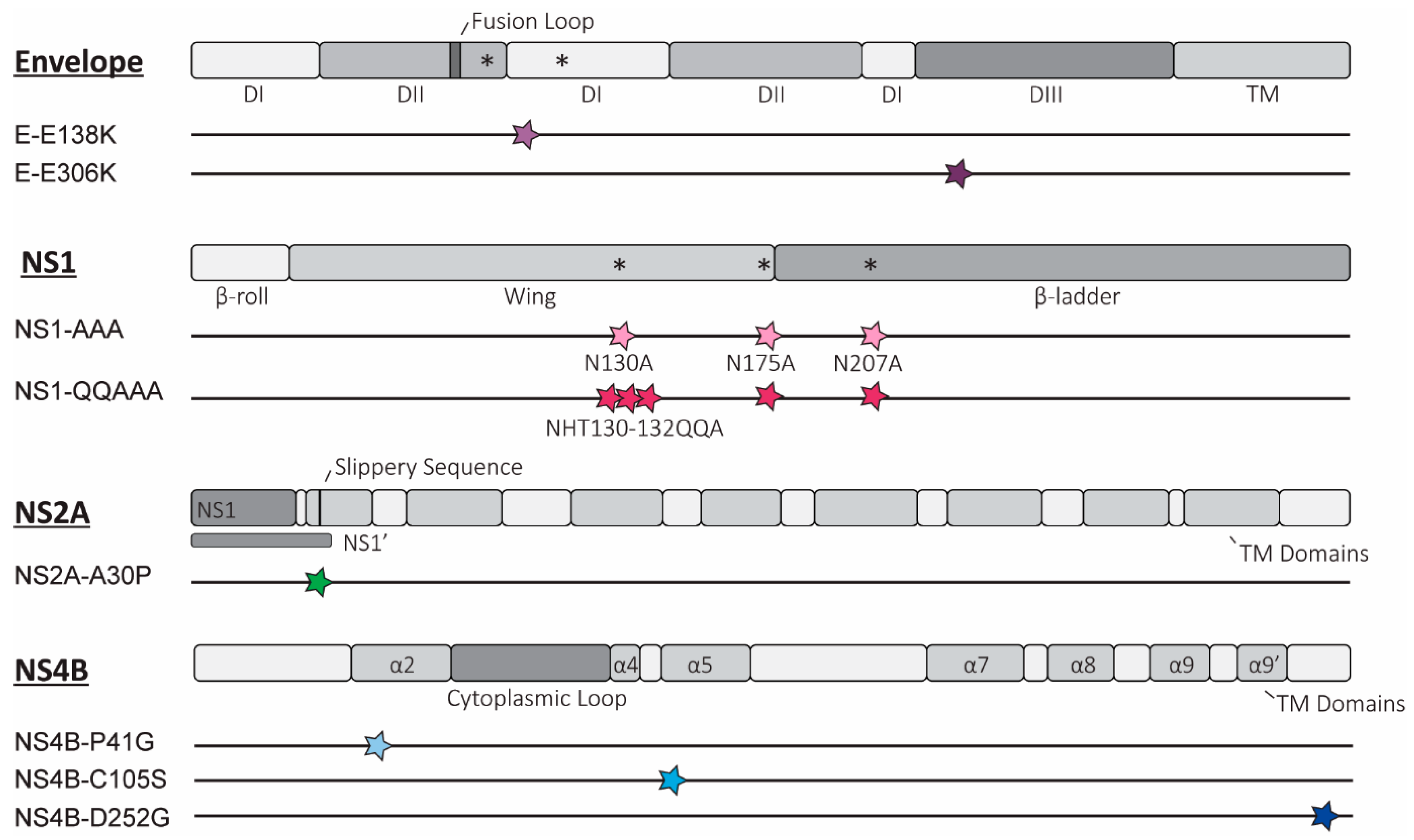 Vaccines 13 00495 g001
