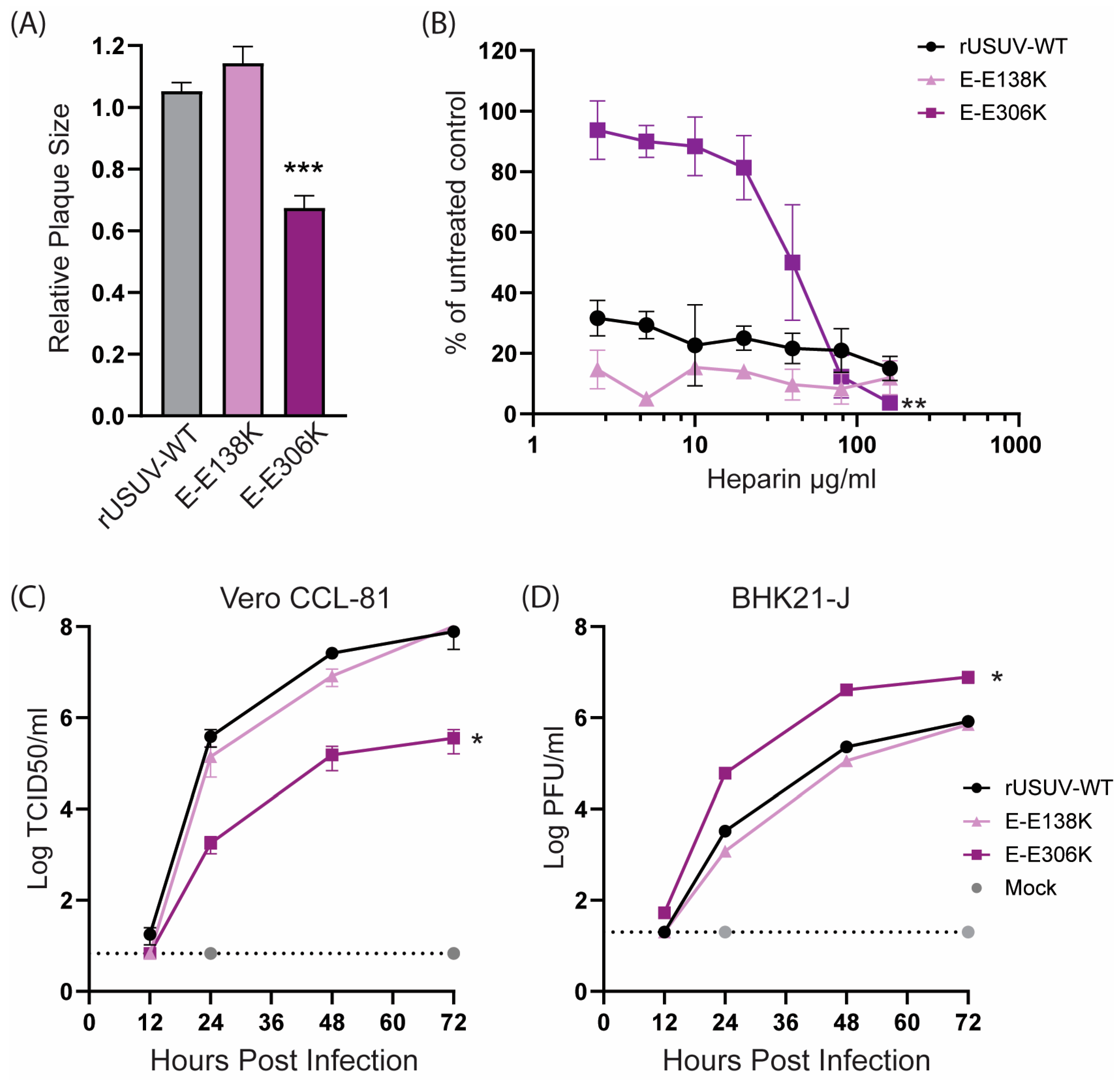 Vaccines 13 00495 g002