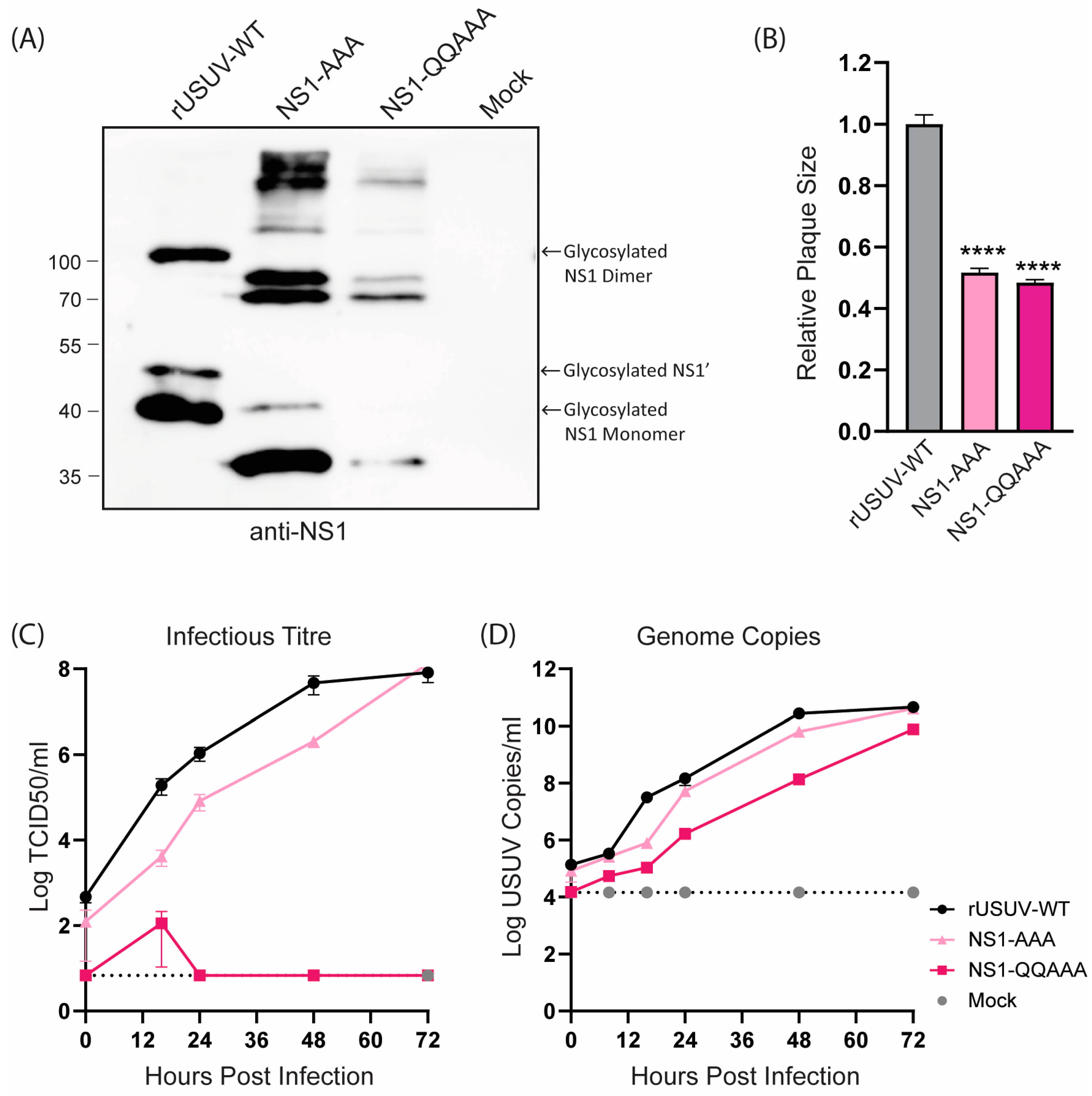 Vaccines 13 00495 g003