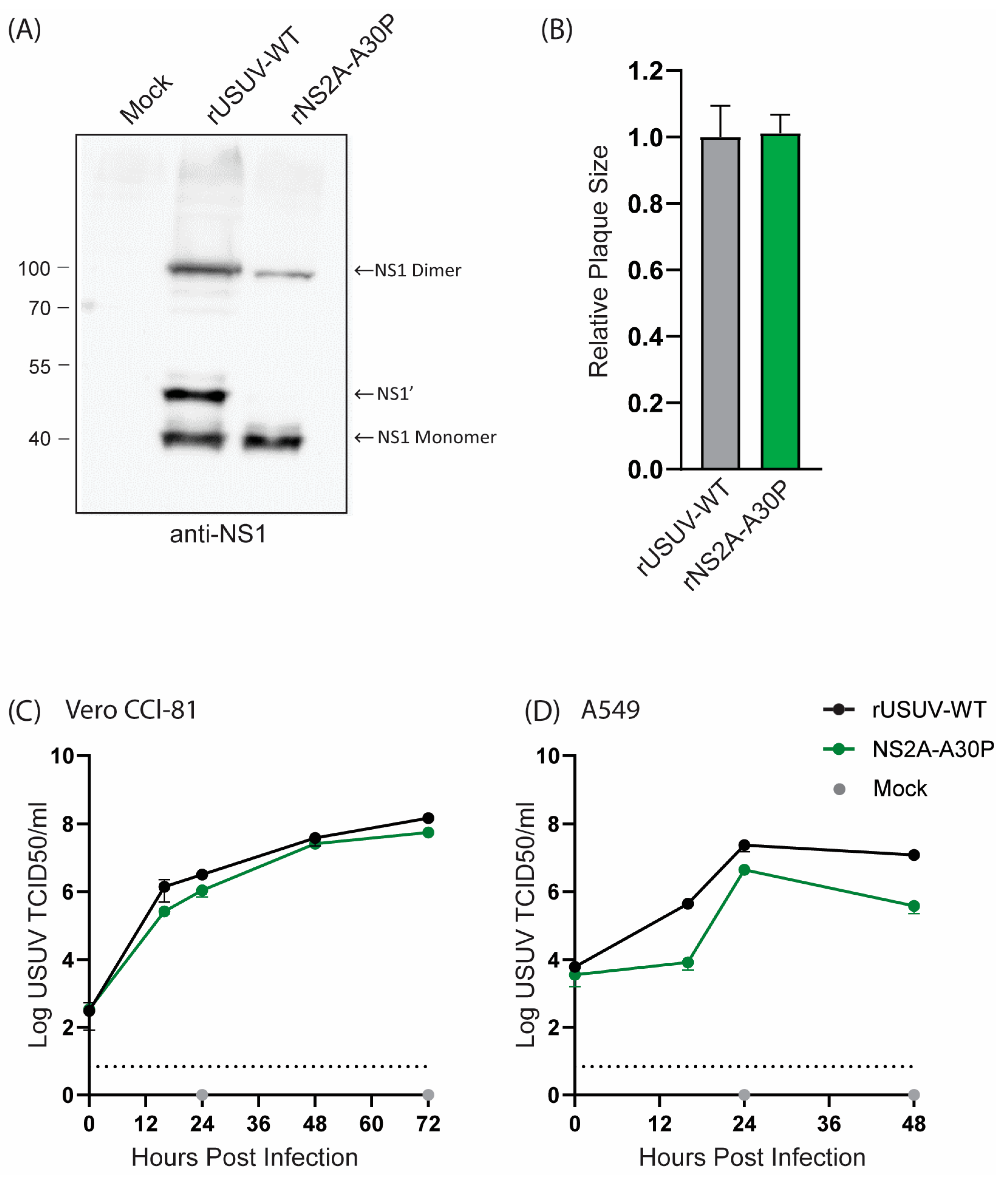 Vaccines 13 00495 g004