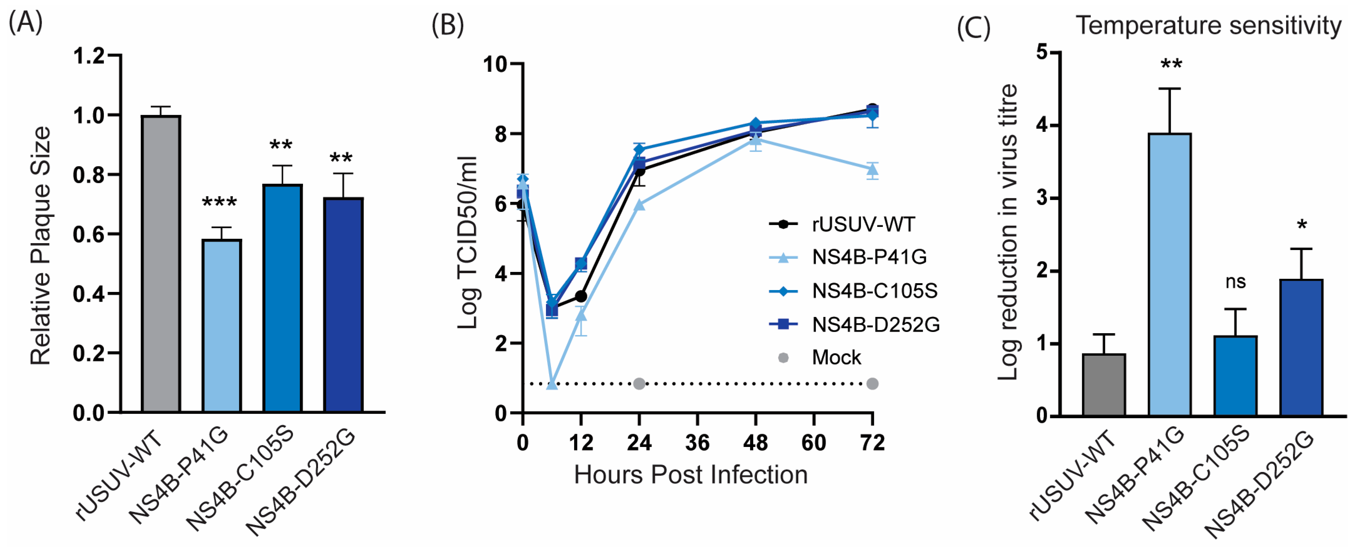 Vaccines 13 00495 g005