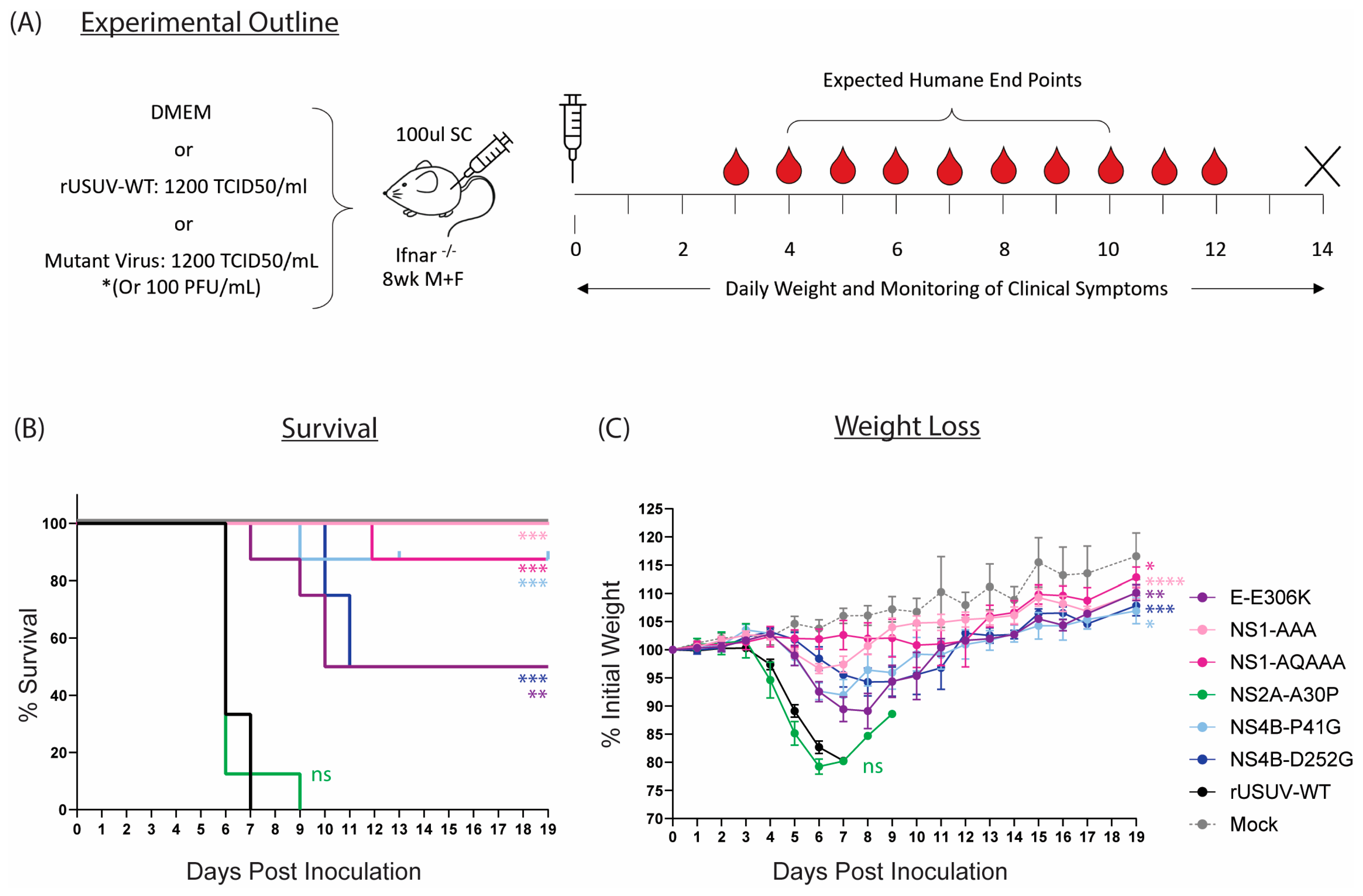 Vaccines 13 00495 g007