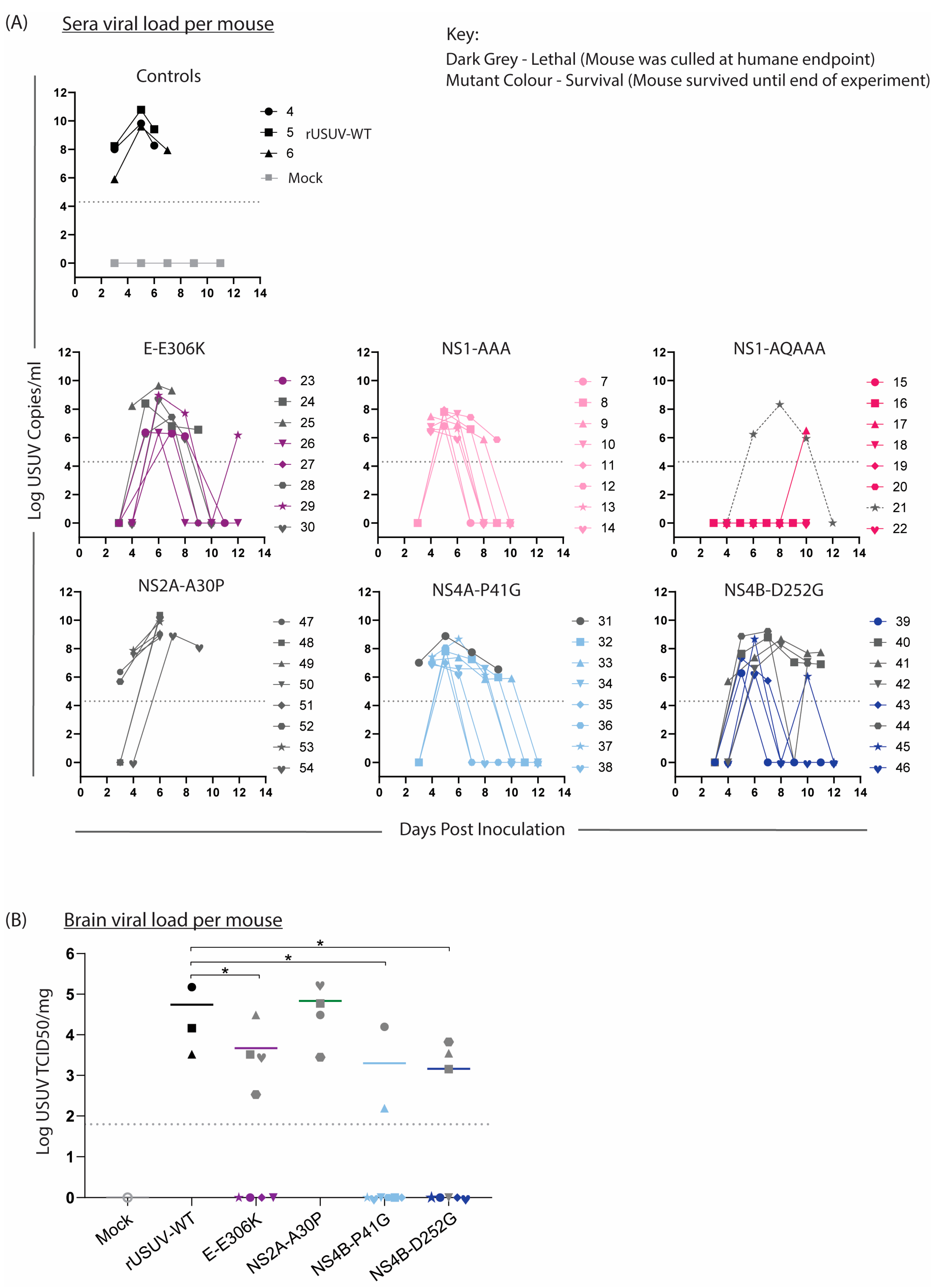 Vaccines 13 00495 g008