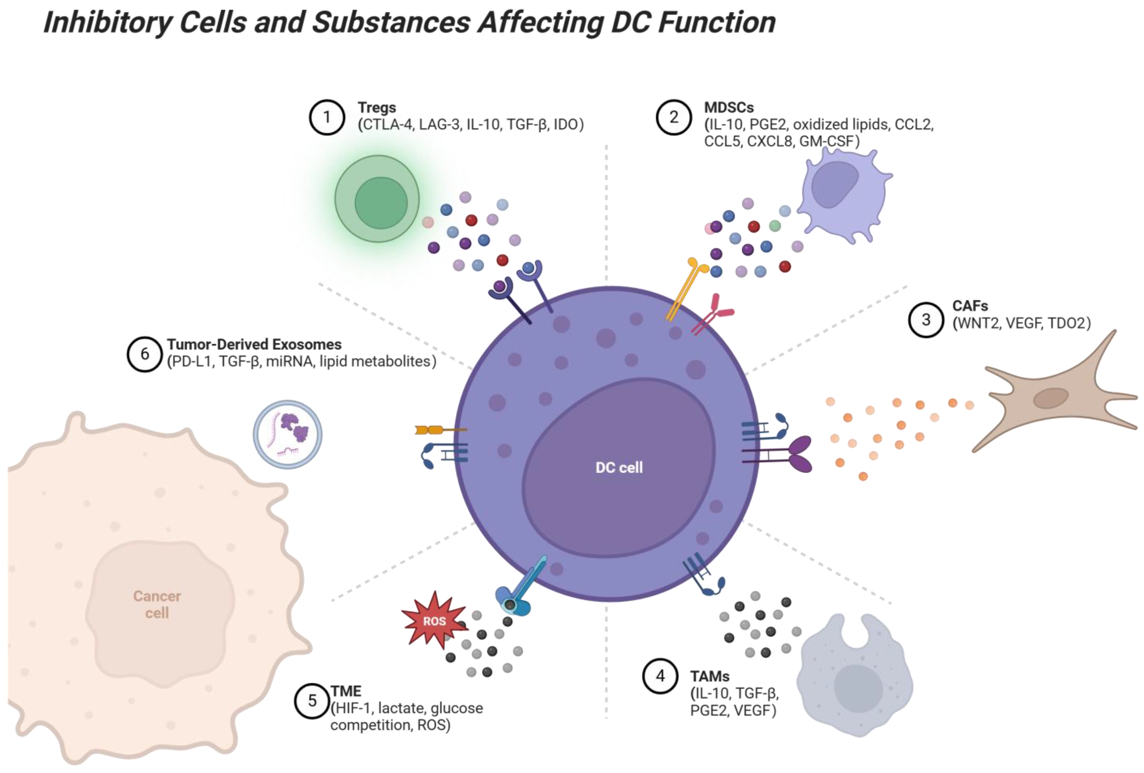Vaccines 13 00496 g002
