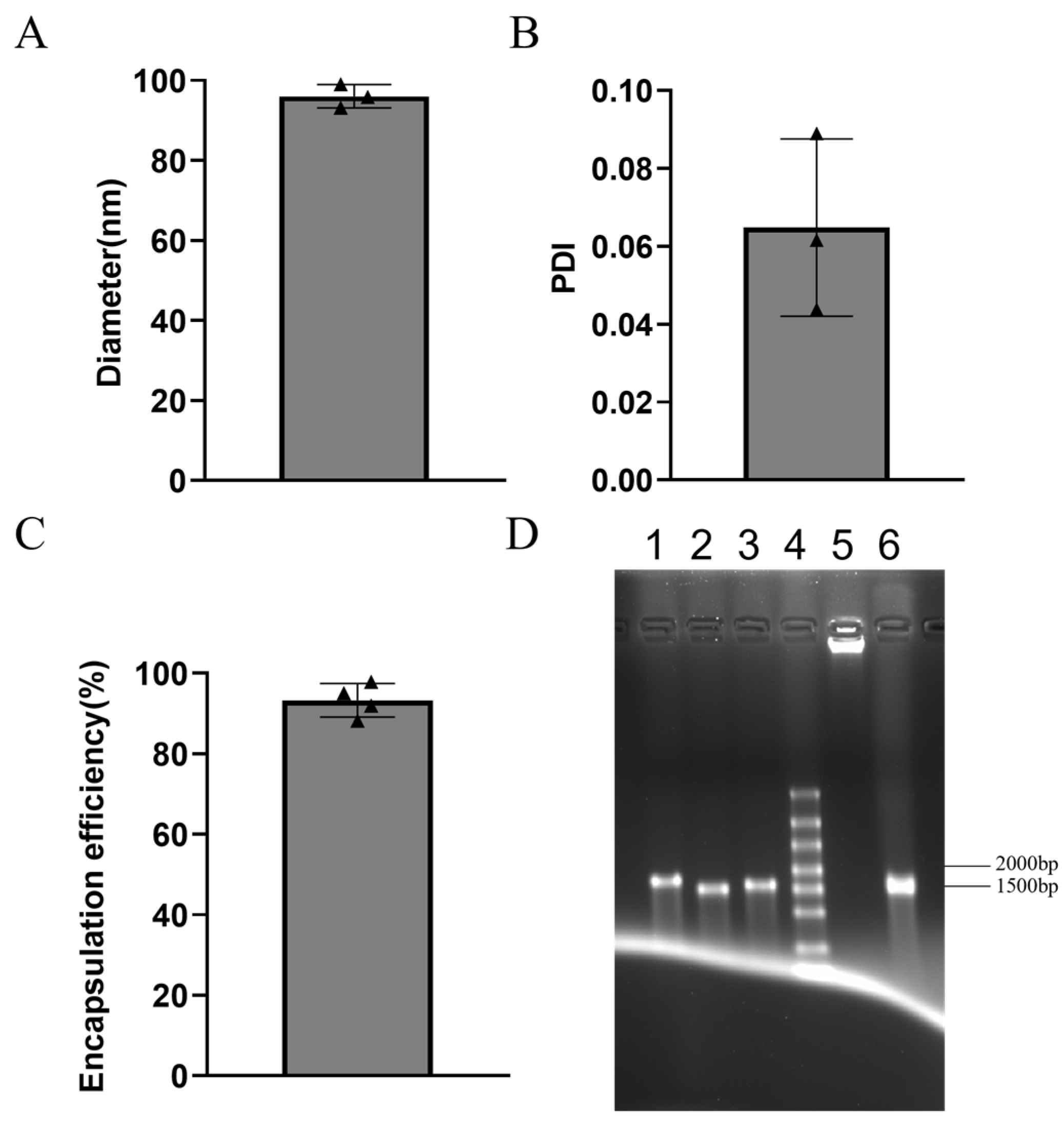Vaccines 13 00497 g001